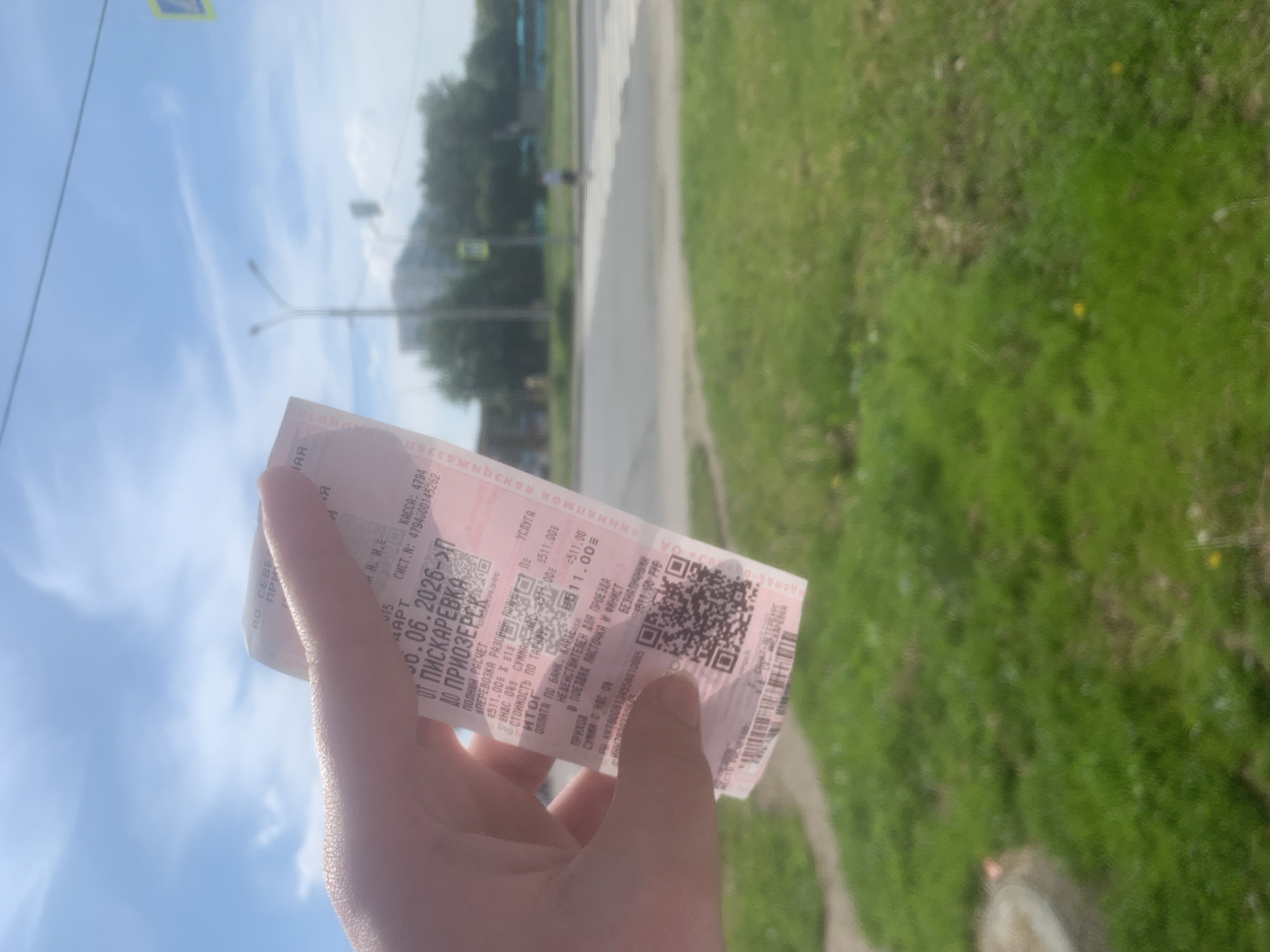 A light-skinned hand holds a vertical pale pink paper receipt in the foreground. The receipt is in focus and displays Cyrillic text, identifying it as a transportation document. Key details visible include "АО СЕВЕР..." (JSC SEVER...) at the top, the date "30.06.2026", and the route "ОТ ПИСКАРЕВКА ДО ПРИОЗЕРСК" (FROM PISKAREVKA TO PRIOZERSK). The payment amount is "511.00" Russian Rubles, indicated as "ПОЛНЫЙ РАСЧЕТ" (FULL PAYMENT) and "ОПЛАТА ПО БАНК. КАРТЕ" (PAYMENT BY BANK CARD). The receipt also states "НЕЙСТВИТЕЛЕН ДЛЯ ПРОЕЗДА" (INVALID FOR TRAVEL) and includes a QR code near the bottom.
The background, rendered with soft focus, shows an outdoor urban or suburban environment under a bright blue sky with scattered white clouds. A green grassy area with a few yellow wildflowers occupies the lower left. A paved road with a white pedestrian crossing (zebra stripes) extends across the midground. Beyond the road, a tall street light with two luminaires is visible. In the distance, a multi-story building with a light facade is partially obscured by green trees. A blurred blue public transport vehicle (possibly a bus or trolleybus) can be faintly seen on the right, behind the foliage. A pedestrian crossing sign (blue square with white triangle and pedestrian symbol) is partly visible on the right side of the road. A single, blurred human figure is present near the pedestrian crossing. Based on the locations Piskarevka and Priozersk on the receipt, the scene is located in Leningrad Oblast, Russia, consistent with the city of Lednevo, Russia.
