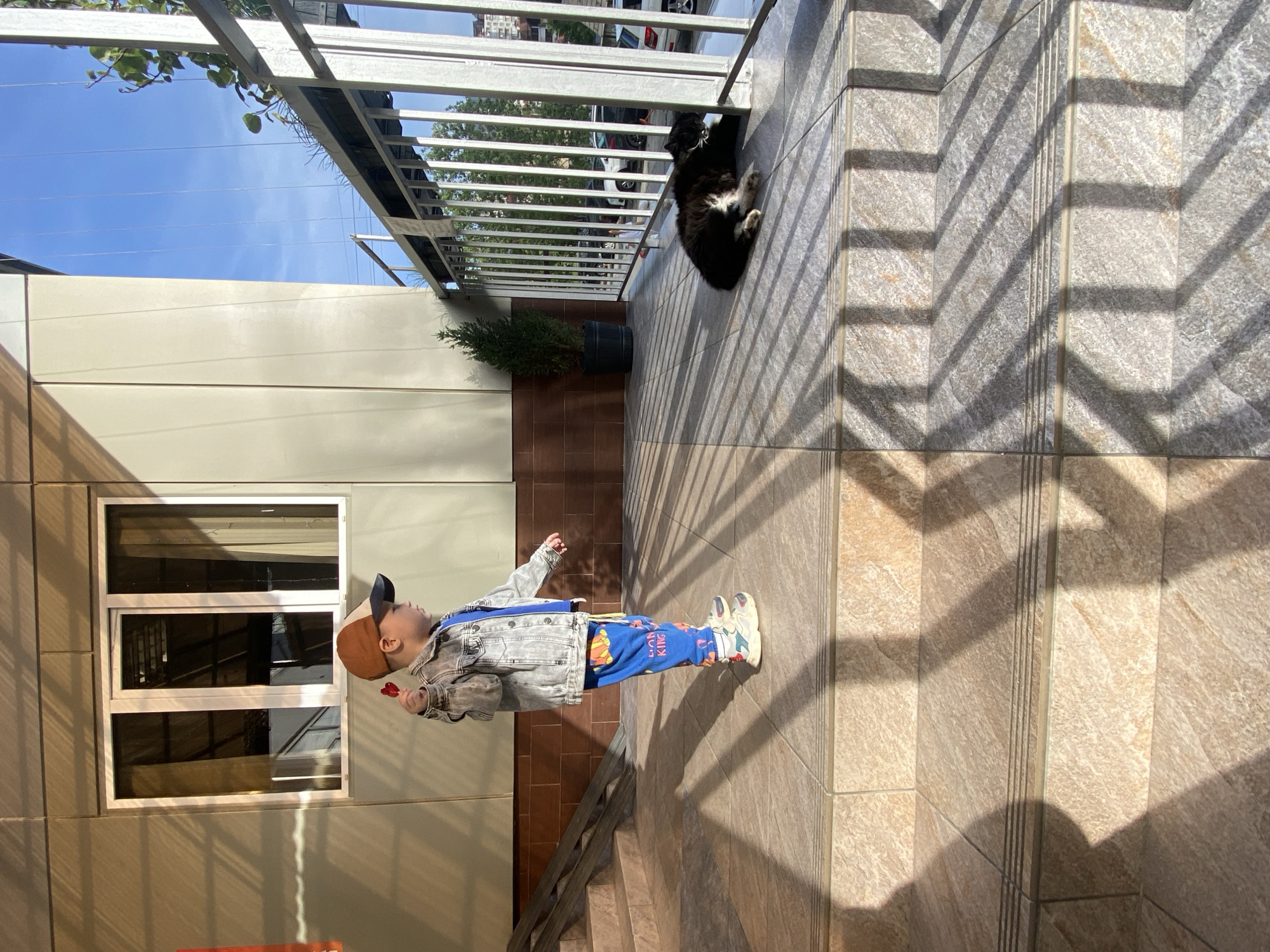 A low-angle outdoor shot depicts a child holding a red object, likely candy, looking toward a window on a building. The child wears a cap, jacket, and patterned trousers. Adjacent to the child is a staircase and a cat resting by a railing on a tiled surface. Shadow patterns from the railing are cast across the tiles. The sky is visible in the upper left corner. This location is probably Sochi, Russia.