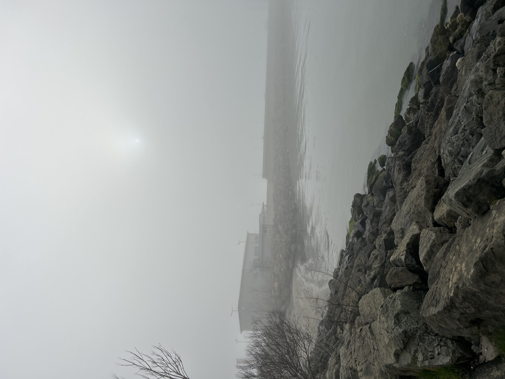 The image presents a misty, overcast scene at a waterfront location in the city of Unknown, Unknown. In the foreground are large, gray, rocky boulders forming a shoreline. Some rocks have patches of green moss. A bare tree branch is visible in the lower left corner. Behind the rocks is a body of water that appears murky gray. The fog is thick, obscuring much of the background. A building or structure is vaguely visible through the fog, along the water's edge. The sun, also shrouded in mist, is visible as a diffused, bright area in the upper left of the image.
