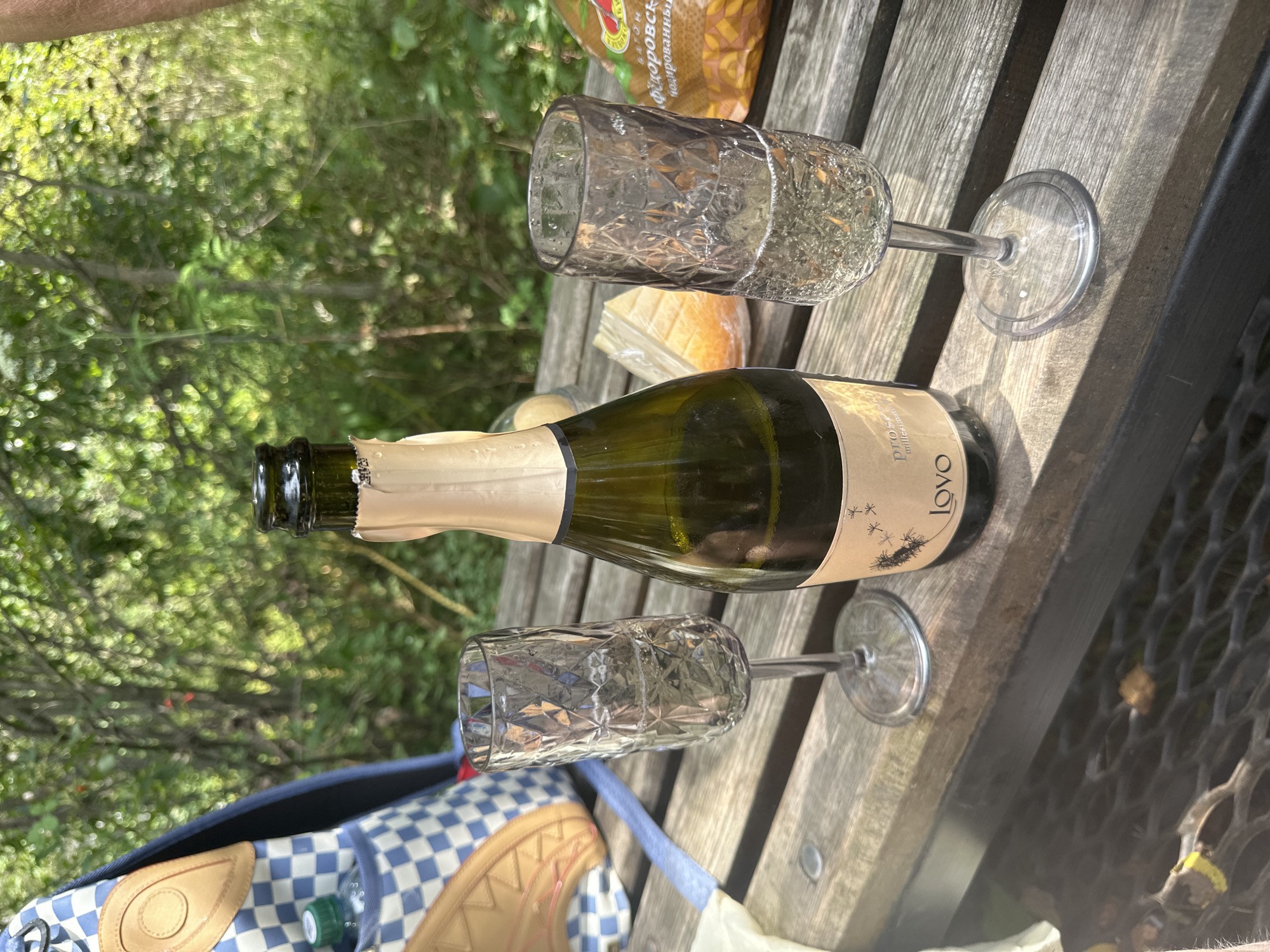 An outdoor scene features a picnic on a wooden table, with two fluted glasses and a bottle of sparkling wine. The glasses are filled with a light-colored beverage. A wedge of cheese and a bag of snacks are also on the table. In the background, lush green foliage suggests a natural setting, possibly a park or wooded area. The overall impression is one of a leisurely outdoor gathering.