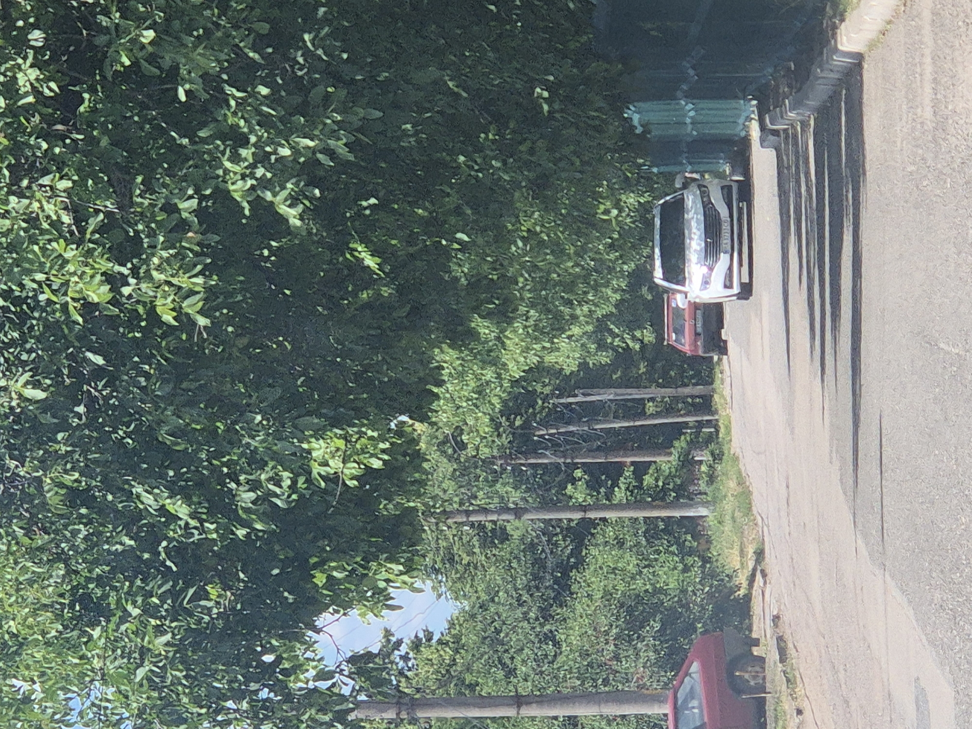 The image shows a street scene in Sozonivka, Ukraine, on a sunny day, likely during the daytime. The foreground is dominated by an asphalt road with a gray curb on the right side. Shadows from trees are cast across the road.
In the middle ground, several vehicles are visible. A white sedan is parked on the right side of the road, facing forward. A red hatchback is parked further down the road, also facing forward. A red car is visible on the left side of the road, parked.
The background is filled with lush green trees and vegetation. Several utility poles with wires are present along the left side of the road, indicating the presence of infrastructure. A light blue sky is visible through the leaves of the trees in the upper left portion of the image. A green metal fence runs along the right side of the road. The scene appears to be a residential or semi-rural area given the presence of trees and the type of road. There are no people visible in the image.