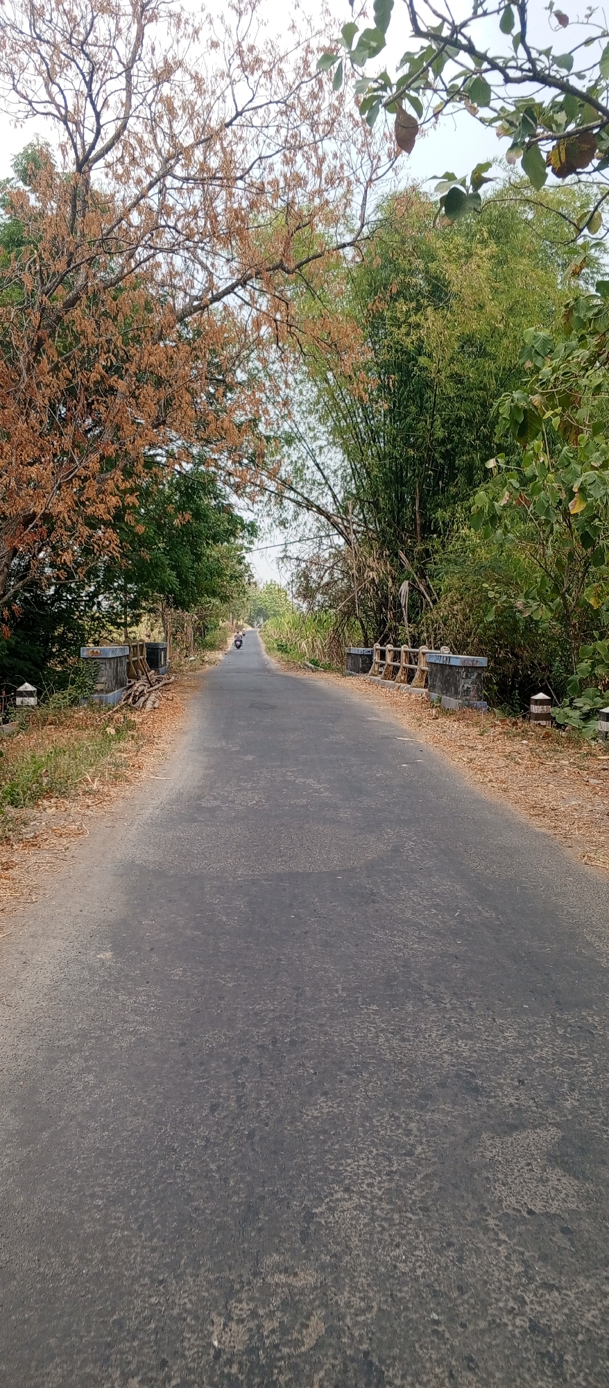 An outdoor, eye-level, medium shot captures a rural asphalt road in Gulun, Indonesia, under a hazy sky. The road is flanked by dense, verdant foliage and trees, with a prominent bamboo grove on the right. The road narrows as it recedes into the distance, suggesting a gentle incline. On either side of the road, low concrete barriers with decorative railings are visible, marking what appear to be small bridges or culverts. Scattered dry leaves and small branches litter the roadside and the edges of the road. A lone motorcycle is being ridden down the center of the road in the distance, heading away from the viewer. The scene evokes a sense of quiet, natural beauty and rural tranquility.