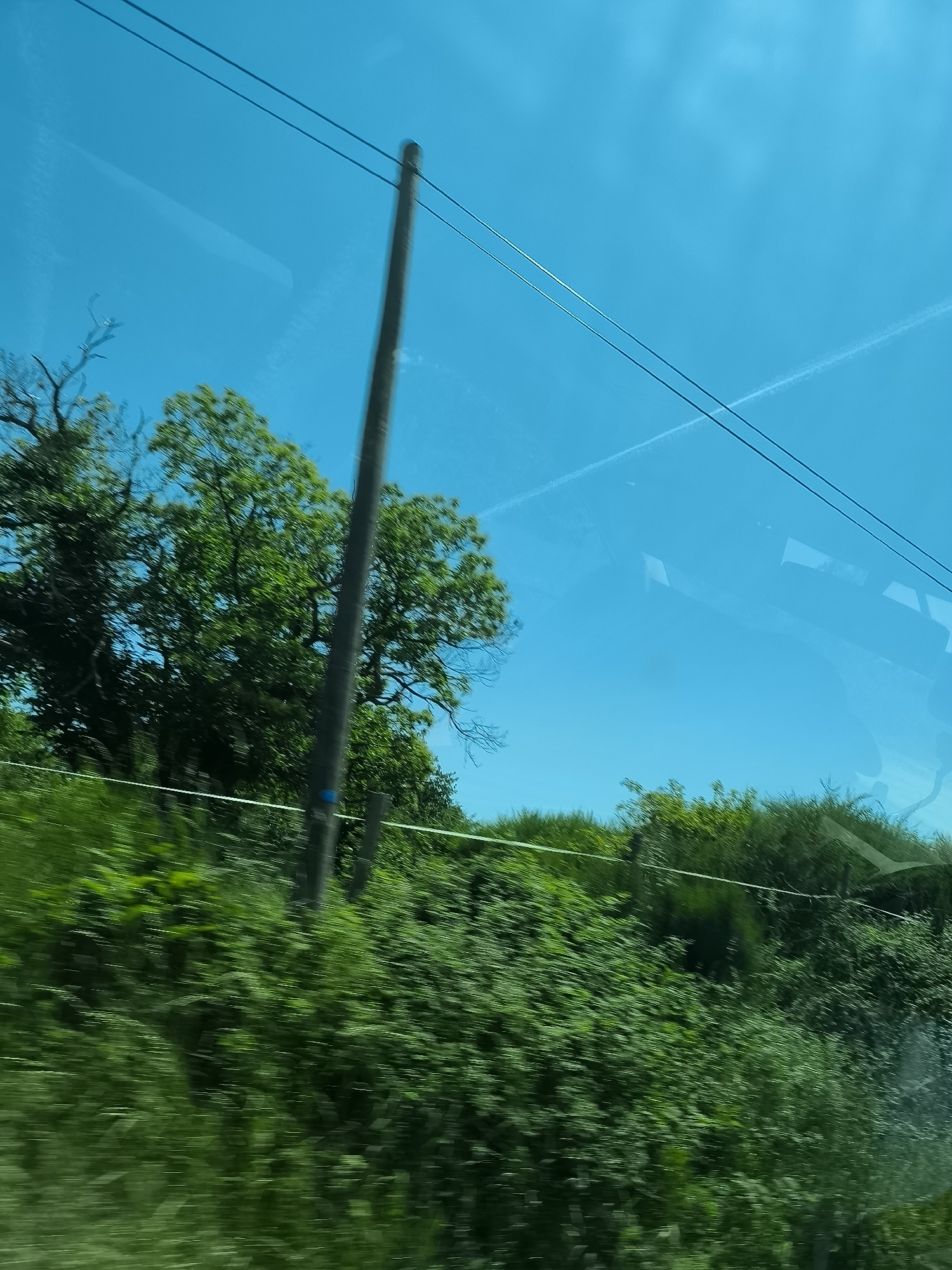 An eye-level shot taken through a window features a verdant landscape against a bright blue sky. The focus is on the blurred foreground foliage, with a tall, blurry utility pole rising vertically, slightly off-center. Wires extend horizontally from the pole across the upper portion of the frame. In the background, lush green trees and bushes are visible. A faint vapor trail bisects the upper right quadrant of the sky. Reflections appear on the glass. The location is Chavanay, France.