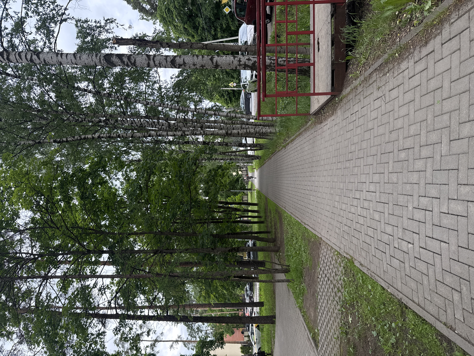 The image shows a paved pedestrian walkway lined with trees on both sides, in an urban environment. On the left side, there is a sidewalk with interlocking concrete pavers, and beyond that, grass and parked cars. Some of the cars are yellow and white. A building is visible in the background on the left. On the right side of the walkway, there are more trees, predominantly birch trees with their distinctive white bark, and a red metal railing with a platform behind it. In the distance, more parked cars and trees are visible, along with a street sign. A person is walking on the walkway in the distance. The sky is overcast.