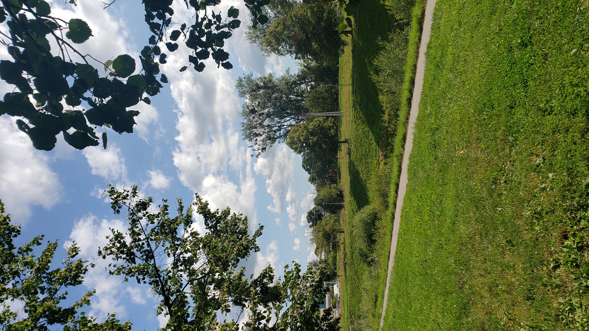 The image depicts a scenic view of a park or green space in Prešov, Slovakia, under a partly cloudy blue sky. In the foreground, a well-maintained grassy area slopes gently upwards towards a paved pathway. The pathway runs horizontally across the middle ground of the image, separating the foreground lawn from the park beyond.
Beyond the pathway, the landscape transitions into a more wooded area with a variety of trees. Some trees are full and leafy, while others are taller and more sparse, with visible nests in their branches, possibly from birds. Sunlight dapples through the leaves, creating areas of light and shadow on the ground. In the far distance, hints of urban infrastructure can be seen, including buildings, a white vehicle, and what appears to be a utility pole or light post.
The framing of the image is enhanced by the presence of dark green foliage from trees in the upper left and upper right corners, creating a natural frame that draws the viewer's eye towards the park scene. The overall impression is one of a peaceful, sunlit day in an urban green space.