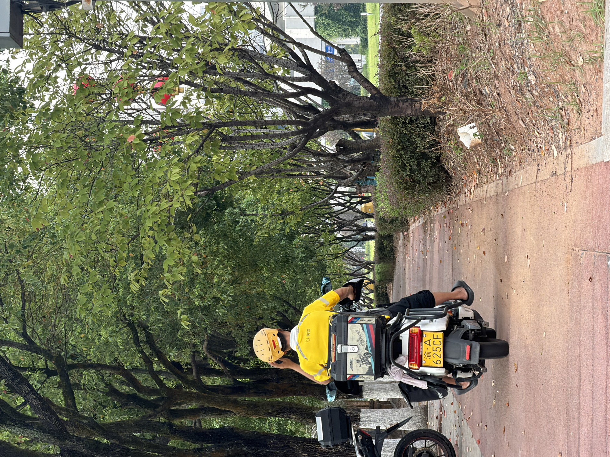 A person wearing a yellow helmet and a yellow shirt is riding a white electric scooter on a paved path lined with trees and bushes. The scooter has a large black storage box on the back with colorful graphics and text that reads "DC Sport" and "MOTORCYCLE". A license plate with Chinese characters and the number "625CF" is attached to the back of the scooter. The person is seen from behind, adjusting their helmet. To the left of the scooter, another black storage box is visible on a parked motorcycle. The environment is green with lush trees and fallen leaves on the path. In the background, there are buildings and more vegetation. The scene appears to be a street or park in Jiangjin, China.
