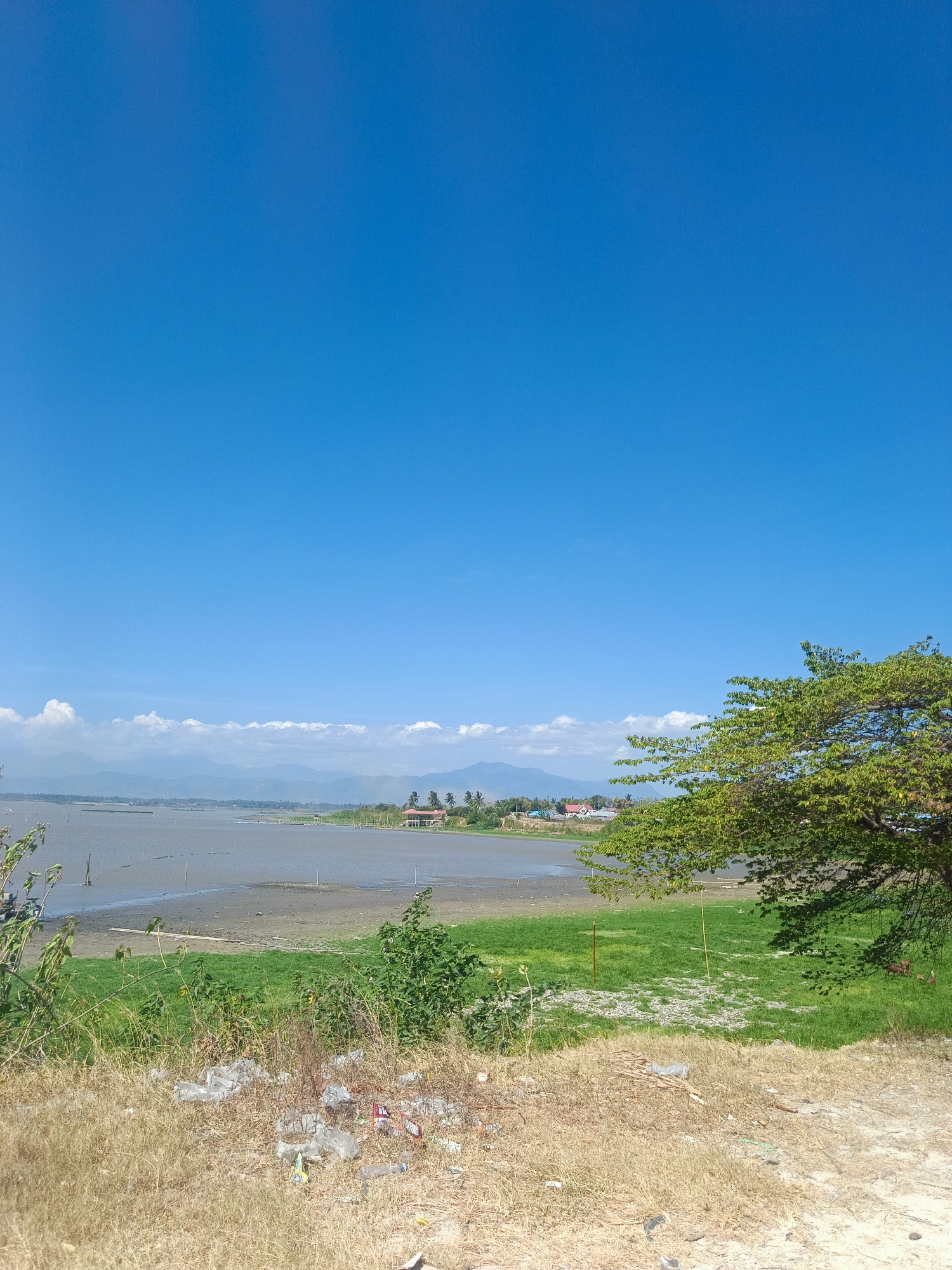 The image depicts a scenic landscape with a vast expanse of blue sky dominating the upper portion. In the middle ground, a body of water, possibly a lake or sea, stretches out, with distant mountains forming a hazy backdrop. Several structures, including what appear to be houses and fishing platforms, are visible on the far bank of the water. A large tree with lush green foliage stands prominently on the right side of the frame, its branches extending towards the water. The foreground is characterized by dry, yellowish grass and scattered pieces of white plastic debris, suggesting an area that may be prone to littering. The scene is likely located in Gorontalo, Indonesia, given the characteristic tropical vegetation and coastal geography often found in the region. There are no people or animals clearly visible in the image.
