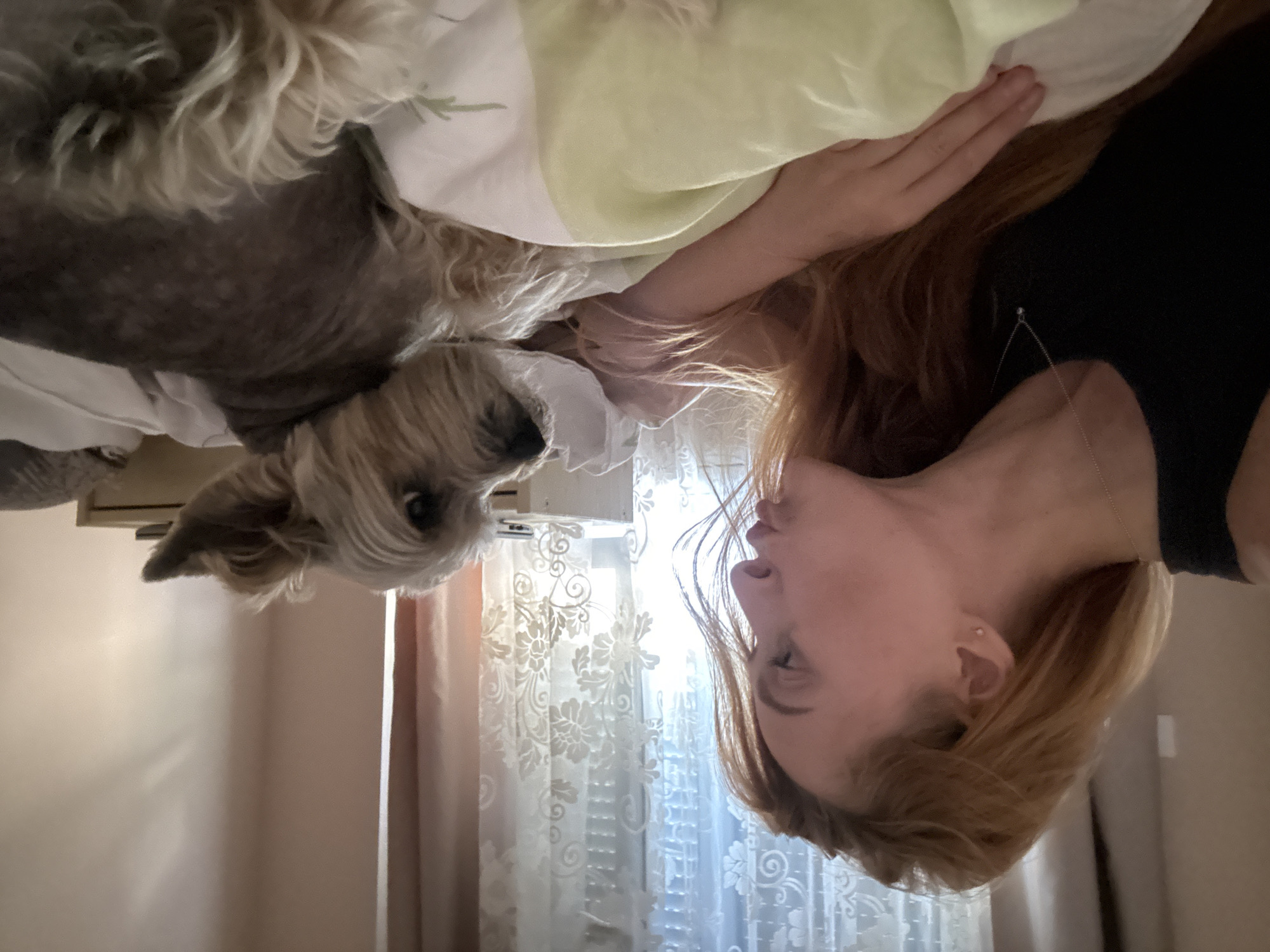 In an indoor domestic setting, likely a bedroom in Budva, Montenegro, a woman with long auburn hair is positioned on a bed, leaning towards a small, light-brown dog. The woman is wearing a black tank top and a delicate silver necklace with a small pendant. Her face is turned to her left, with her lips puckered as if about to kiss or interact with the dog. The dog, which appears to be a Yorkshire Terrier or similar breed, is lying on its side on the bed, facing the woman. Its fur is a mix of light brown and grey. The bed is covered with white and light green linens, with the green covering appearing to be a blanket. In the background, a sheer white curtain with floral patterns is visible, obscuring a window and letting in soft, diffused light. To the right of the curtain, a portion of a wooden bedside table or dresser is visible. The overall lighting suggests it is daytime, with natural light contributing to the ambiance. The interaction between the woman and the dog is the central focus, conveying a sense of affection and closeness.