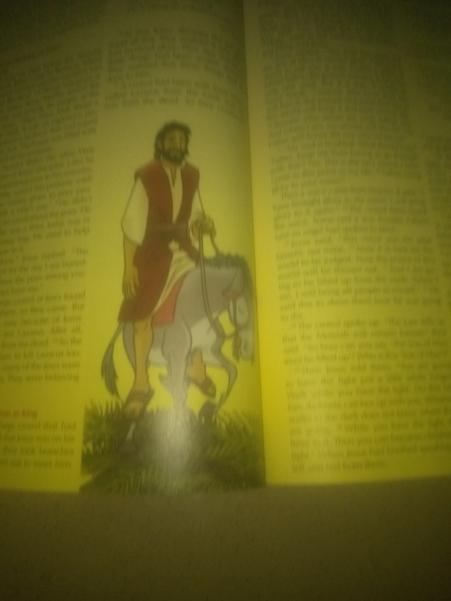 The image shows an open book with text and an illustration. The illustration depicts a man with a beard wearing a red vest over a white tunic and sandals, riding on the back of a donkey. He is holding the donkey's reins and has a bag slung over his shoulder. The donkey is grey and has a shaggy mane and tail. Both the man and the donkey are positioned on a patch of green grass.
The text on the left page includes phrases like "Jesus replied," "the Jews found," "many of the Jews were," and "they were believing." The text on the right page includes phrases like "The crowd spoke up," "must be lifted up," "Then Jesus said," "While you have the light," and "lost and not from them."
The overall image has a yellow hue, possibly due to lighting or the age of the book. The resolution is low, and some text is blurry.
There is no discernible information in the image that indicates the location of Jauro Yinu, Nigeria.