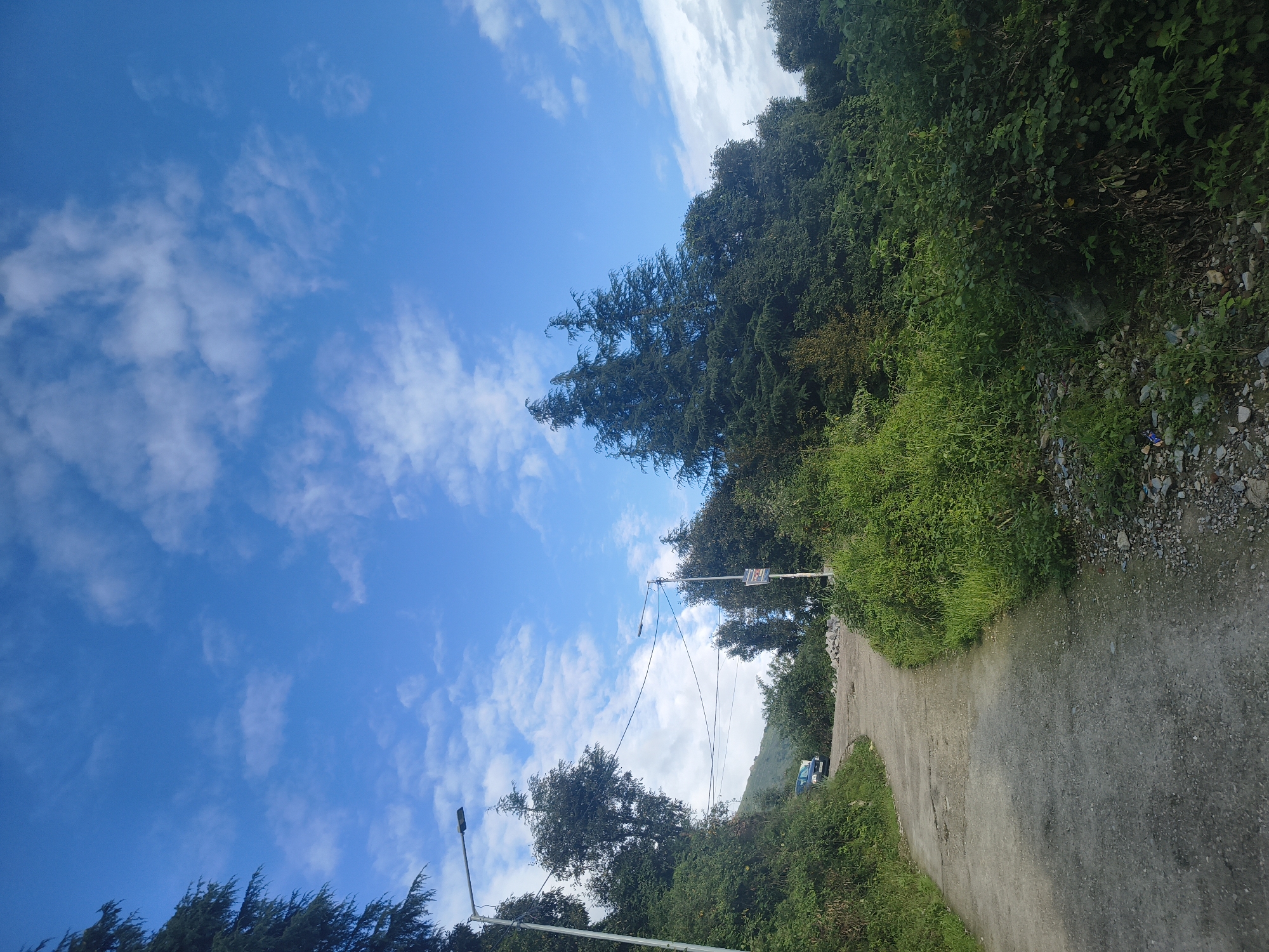 An eye-level, wide shot captures a winding road ascending a lush green hillside under a vibrant blue sky with scattered white clouds. The road, paved with gravel and asphalt, curves to the left in the foreground, disappearing into the dense foliage. On the left side of the road, a steep, vegetated embankment rises, dotted with trees and greenery. On the right, the embankment is also covered in thick vegetation, with several large evergreen trees towering over the scene. Two streetlights are visible along the road, one on the left and another further up on the right. A dark-colored car is parked on the side of the road in the middle ground, partially obscured by trees. The overall impression is of a rural, mountainous landscape bathed in natural light.