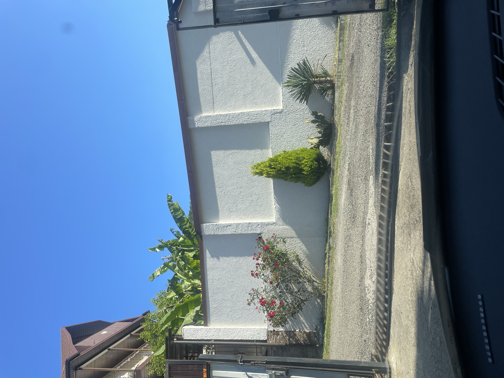 This bright, sunny daytime image, taken in Baranovka, Russia, captures a residential street scene. The dominant feature is a light-colored, stucco-textured building wall running vertically through the left and center of the frame. The building features a brown roofline and gutters, with part of another brown-roofed structure visible in the lower left.
The sky, occupying a significant portion of the upper frame, is a clear, vibrant blue with no clouds, indicating fair weather. Strong sunlight is evident from the distinct shadows cast across the building wall and the ground.
Various plants adorn the base of the building wall. Towards the bottom left, a large banana plant with broad green leaves is prominent. Adjacent to it is a vibrant rose bush displaying numerous red flowers, casting a shadow on the wall. Further along the wall to the right, a small, conical bright green evergreen shrub is visible, followed by a yucca plant with spiky, palm-like leaves.
On the right side of the image, running parallel to the building, is a light gray, granular paved surface, likely a driveway or narrow road. A concrete curb or drainage structure lines its edge. In the extreme foreground on the right, a dark, angled structure, possibly part of a car's interior or a nearby fence, partially obscures the view. Faint white alphanumeric characters "09280603276" are visible on this dark surface. A metal gate is partially seen in the lower-left corner. No people are visible, and no specific activity or event is taking place, presenting a static snapshot of a quiet, warm day.