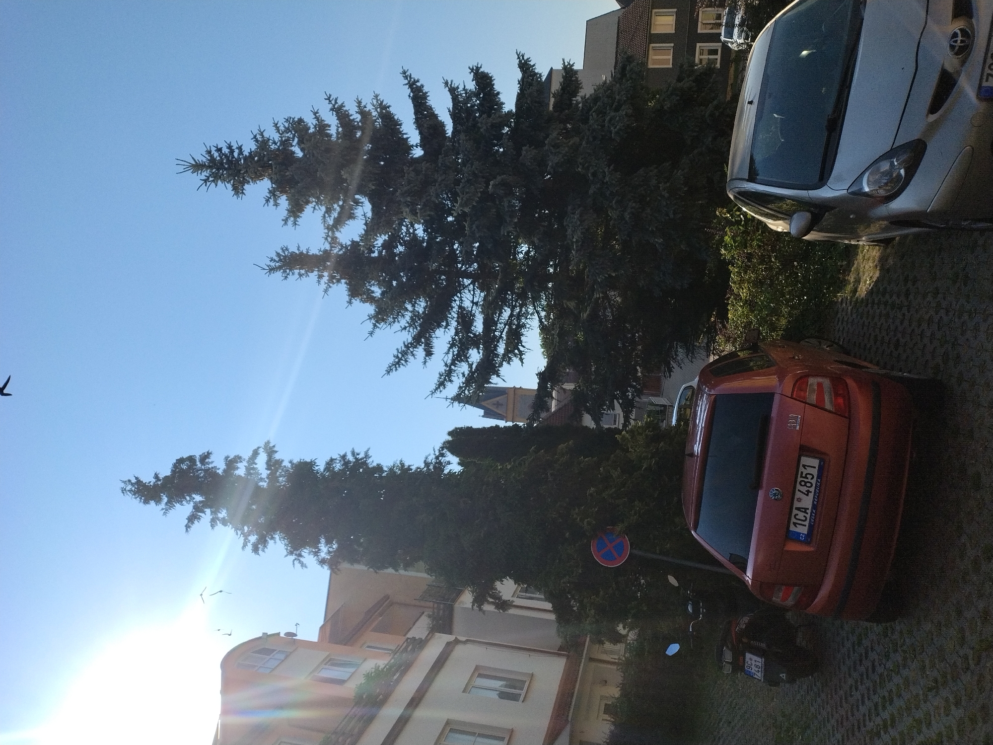 In Hluboká nad Vltavou, Czechia, under a clear blue sky with bright sunlight and lens flares, a parking area is shown. Several objects are visible: a red Skoda Fabia is parked in the foreground with its rear facing the camera, displaying a Czech license plate "1CA 4851". To its left, a dark-colored scooter is parked. Further to the left, a light-colored car is partially visible. In the background, tall evergreen trees dominate the scene, with two large fir trees prominently featured. Behind the trees, a building with a distinctive tower can be seen. Additional buildings, likely residential, are also present. A "no parking" sign is visible near the red Skoda. The ground is paved with interlocking concrete blocks. A bird is captured in flight in the upper portion of the image.