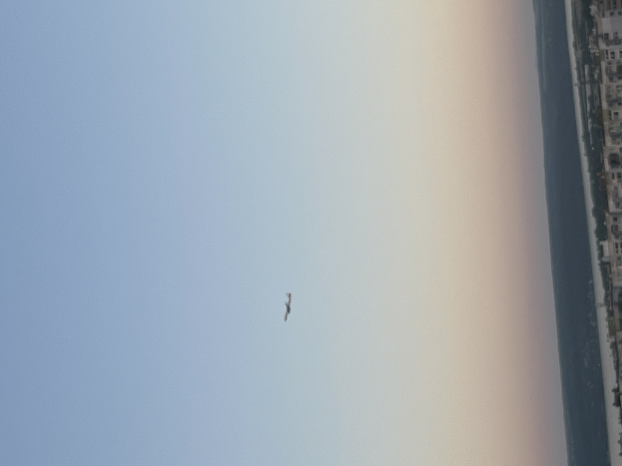 An airplane is visible in the sky above the city of Varna, Bulgaria. The sky is a gradient of light blue fading into pink and orange hues, indicating either sunrise or sunset. Below the sky, a dark band of land with trees can be seen, possibly a hill or a forest. Further down, a body of water, likely the Black Sea, is visible, with the cityscape of Varna spread along its shore. The buildings appear to be apartment blocks, typical of urban environments. The airplane is small in the frame, suggesting it is at a significant altitude. The overall scene captures a serene moment of an aircraft in flight over the coastal city.