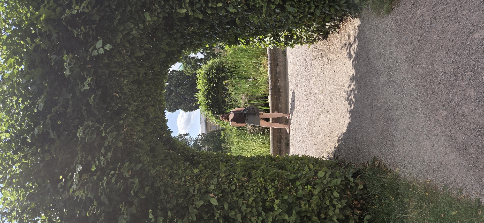 An outdoor shot captures a young woman from behind, standing on a gravel path within an arched hedge. She is wearing a dark tank top and olive-green shorts, with a black backpack slung over her left shoulder. Her feet are bare, clad in light-colored sandals. The hedge forms a tunnel-like entrance, framing a view of a lush garden beyond. Tall green reeds grow around a stone-lined pond, and further back, trees and a building with a dome are visible under a blue sky with scattered clouds. The scene is bathed in sunlight, casting shadows on the path. This appears to be the Japanese Garden within the Botanical Garden of Karlsruhe, Germany.
