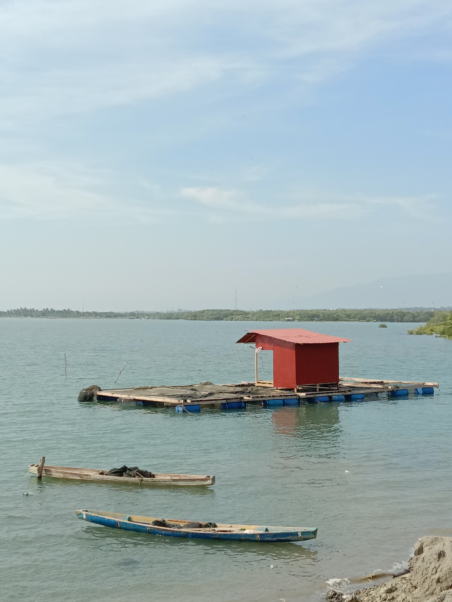 This daytime image depicts a tranquil coastal or estuarine scene in Lhokseumawe, Indonesia, characterized by calm waters and distant land. The foreground features a small sandy and rocky bank on the bottom right.
The central focus of the image is a large, wooden floating platform supported by numerous blue plastic barrels in the mid-ground. A small, bright red hut with a red, sloping roof sits prominently on this platform, possibly serving as a shelter or storage unit for fishing or aquaculture activities. Dark netting or tarps are visible on the platform around the hut.
Closer to the viewer, two traditional-looking wooden boats rest on the water. One is a light, natural wood color, while the other is painted blue and white. Both boats appear to contain dark materials, likely fishing nets or gear. Several thin wooden poles are sparsely dotted across the water, potentially acting as markers or mooring points.
In the background, a wide stretch of calm, light blue-green water extends towards a distant landmass. This distant shore is lined with lush, dense green vegetation, consistent with coastal forests or mangroves. Further beyond, hazy outlines of mountains or hills are visible against the pale blue sky. The sky itself is clear with only a few faint, wispy white clouds, suggesting bright, fair weather. There are no people visible, and no discernible text is present in the image. The overall scene evokes a sense of peaceful, waterside livelihood.