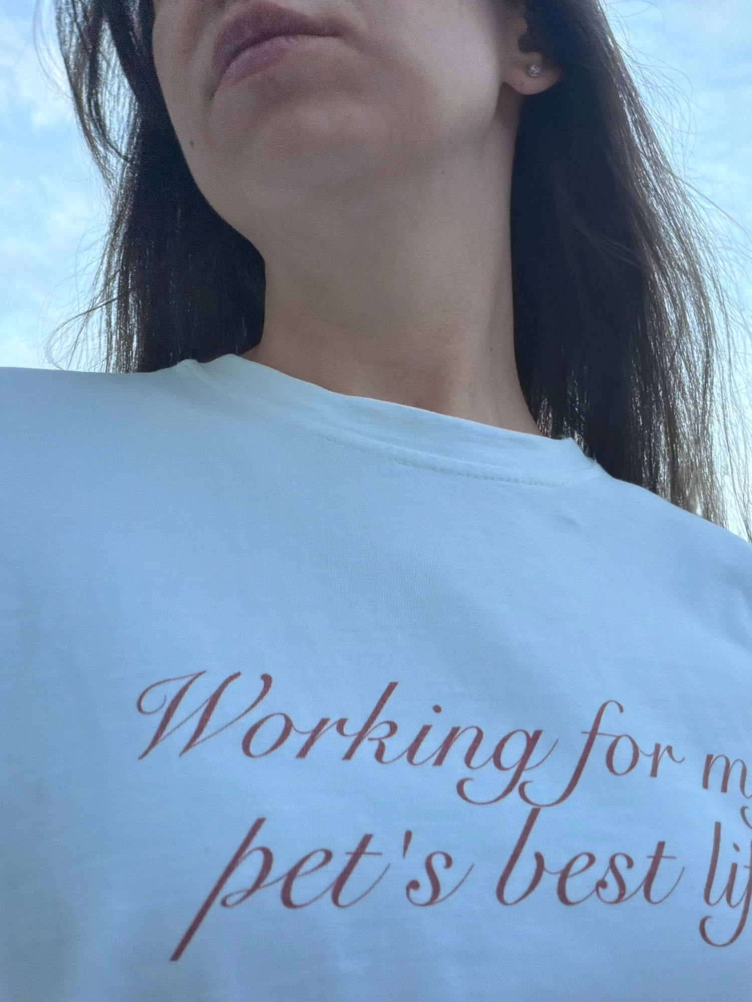 A close-up shot shows the upper chest and neck of a woman wearing a light blue t-shirt. The t-shirt has text printed in a reddish-brown cursive font that reads "Working for my pet's best lif". The woman has dark hair, and is wearing a small stud earring in her left ear. The background is a light blue sky. The image was captured in Kyiv, Ukraine.
