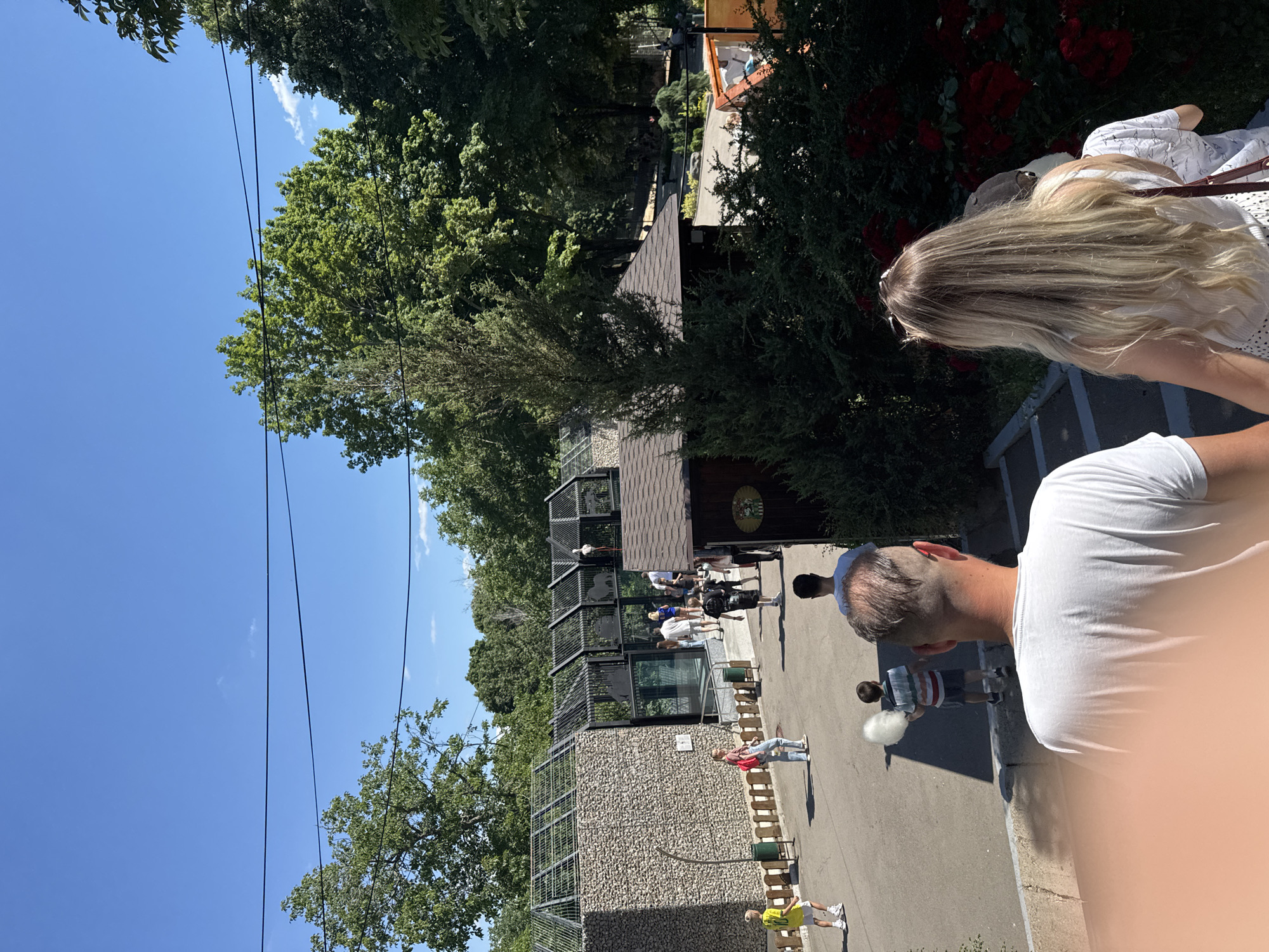 The image depicts an outdoor scene at a zoo in Chișinău, Moldova, on a clear, sunny day. In the foreground, two individuals are seen from behind, walking down a set of stairs. The person on the left appears to be a man wearing a white t-shirt, and the person on the right is a woman with long blonde hair, wearing a white tank top and a patterned skirt. Behind them, a child is partially visible.
Further into the image, a paved pathway is visible with several people walking around. To the left is an enclosure constructed with stone walls and a metal roof, housing animals. Silhouettes of animals, possibly horses and elephants, are visible within the enclosure, along with a tall white bird, likely a stork, standing on a platform. A small wooden building with a brown roof is situated in the middle ground, to the right of the enclosure. A tree with dense foliage stands in front of this building. The background is filled with lush green trees, indicating a park-like setting. The overall atmosphere suggests a leisurely day at the zoo with visitors enjoying the exhibits and the pleasant weather.