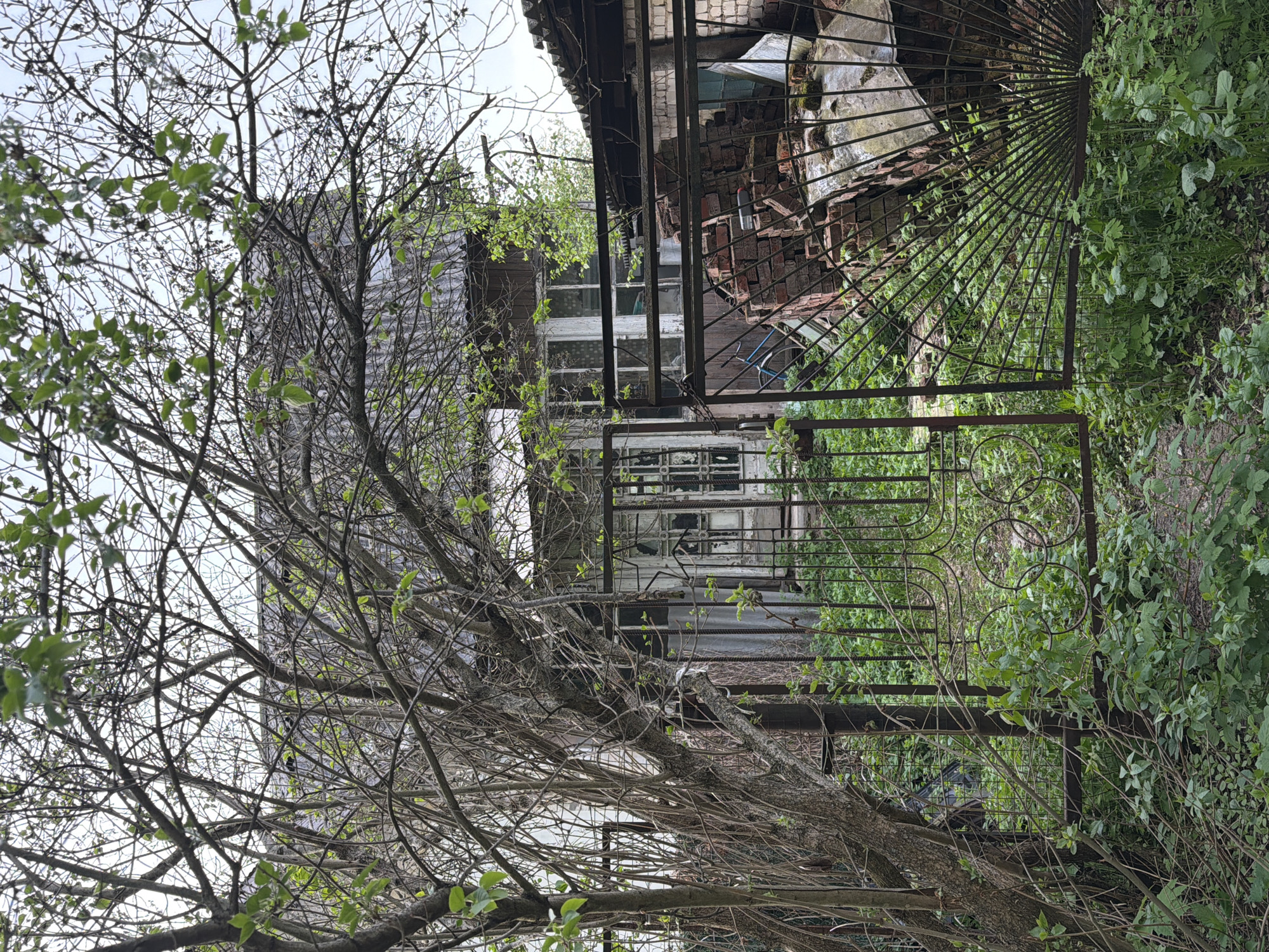 The image depicts a dilapidated building in an overgrown environment. A rusting metal gate stands in the foreground, partially obscured by foliage. Behind the gate, the facade of a worn building is visible, featuring aged windows and crumbling structures. A bare tree branch stretches across the left side of the frame, partially obscuring the building. Debris and overgrown vegetation surround the building. The location is presumed to be in an urban area of Unknown, Unknown based on the surrounding structures. No people are visible in the scene.