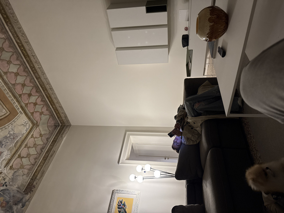 An interior scene in Venice, Italy, depicts a modern living space within a building featuring historical architectural elements. The room has high, light-colored walls and an ornate, frescoed ceiling decorated with geometric and floral patterns in muted pink, green, and brown tones.
A person is reclining on a dark, upholstered sectional sofa on the left, wearing a light-colored jacket and distressed blue jeans. Their face is illuminated by the screen of a smartphone they are actively using with both hands. Behind the sofa, a floor lamp with four spherical white bulbs provides ambient light, and a framed artwork with a yellow background and a dark, abstract figure hangs on the wall. An open doorway leads to another room beyond the lamp.
In the lower-left foreground, a small, fluffy, light-colored dog (likely a Pomeranian) sits on the floor. A white rectangular coffee table is positioned in the center foreground, partially obscured by the legs of an unseen individual. On the coffee table are a textured brown and cream-colored ceramic vase and a black remote control.
On the right wall, a white floating media console supports a black electronic device, a "no smoking" sign, and another white object. Above this unit, three white wall-mounted cabinets and one dark recessed cabinet section are visible. The flooring appears to be a light-colored terrazzo or tile. The overall lighting is dim, contrasting with the bright smartphone screen.