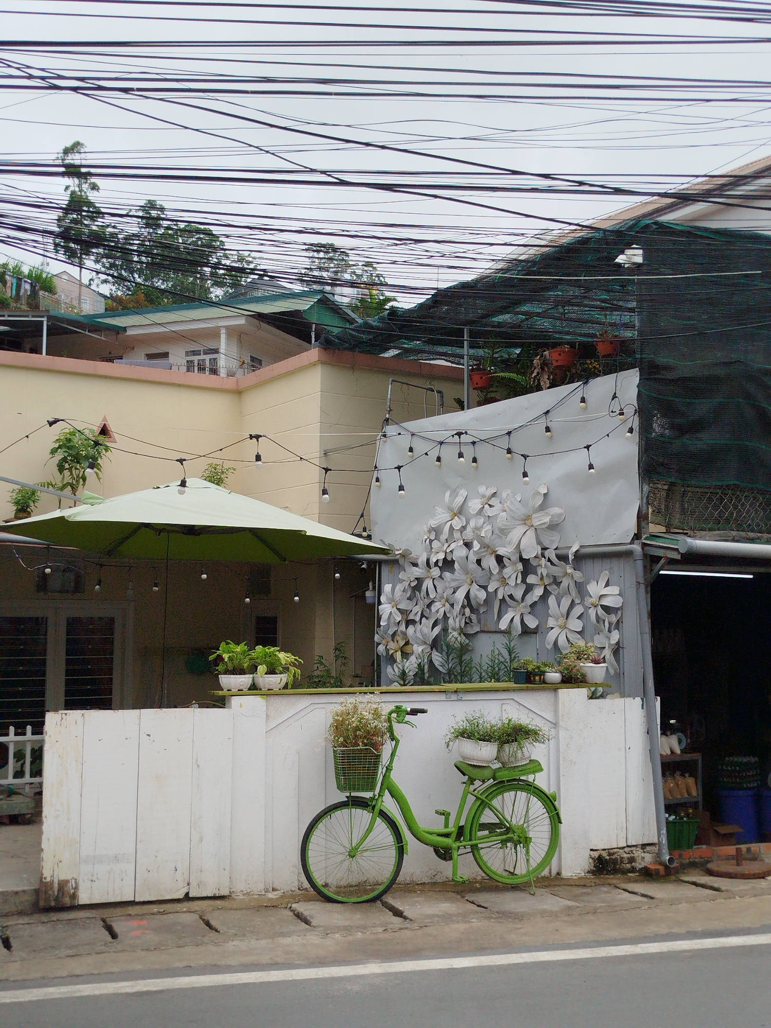 This vertical image depicts a vibrant street scene in Da Lat, Vietnam, under an overcast sky. The central subject is a bright green, vintage-style bicycle, parked on a concrete sidewalk against a low white wall. The bicycle is adorned with potted green plants in its front basket and on a rack over its rear wheel, functioning as a decorative element rather than transport.
Behind the wall, a cream-colored multi-story building features a balcony and a green-tiled roof. A large, light green patio umbrella extends from this building, providing shade to an outdoor area. String lights with exposed bulbs are strung across the umbrella and extend to an adjacent white wall, which is elaborately decorated with numerous large, white, flower-shaped cutouts. Several small potted plants also sit on a ledge below these decorations. To the right, a dark green mesh covering stretches over an area, partially obscuring another building or structure. An open shop entrance, dark inside, reveals shelves and various containers.
Above the buildings, a dense tangle of black electrical wires crisscrosses the light gray sky, a characteristic feature of urban landscapes in Vietnam. Green trees are visible in the background, peeking through the gaps in the wires and buildings. The immediate foreground shows a paved road with a white line and a concrete sidewalk with drainage grooves. The scene is devoid of human activity, presenting a static, charming blend of residential, commercial, and artistic elements. No text is visible in the image.