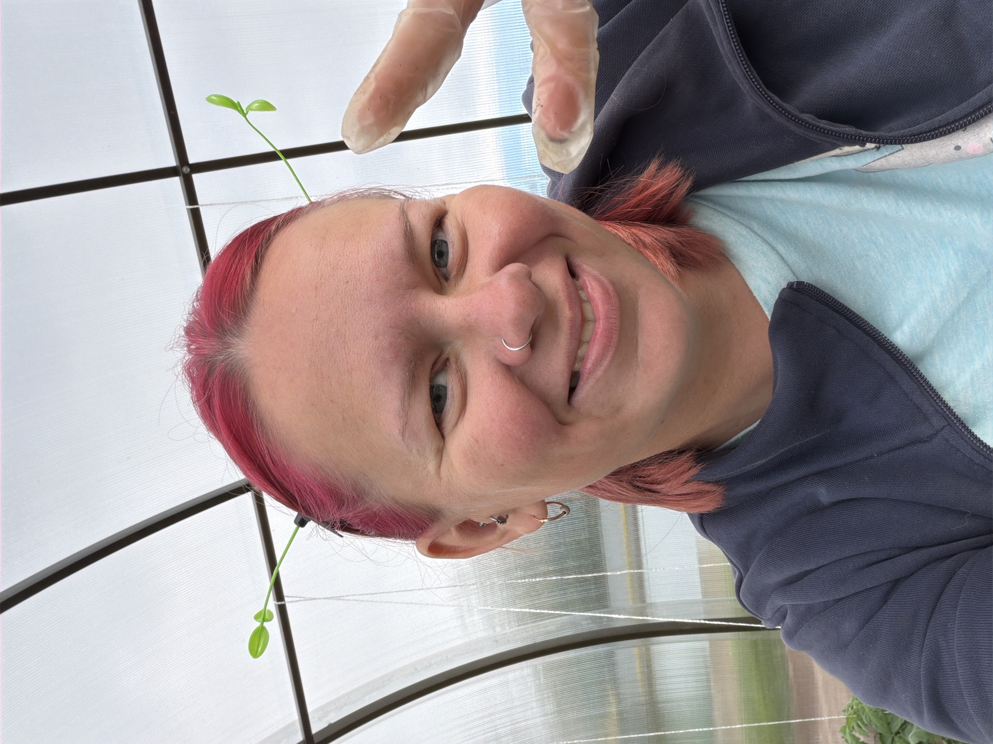 A close-up, eye-level selfie shows a person with bright pink hair smiling inside a greenhouse. Two small green plant sprouts are attached to clips in their hair, one on each side, resembling antennae. The person is wearing a light blue t-shirt and a dark blue zip-up jacket. Their left hand, wearing a clear plastic glove, is raised towards the camera. The background consists of the translucent white roof and dark metal frame of the greenhouse, with a blurry view of greenery and water visible through the curved side panels. The location of Chaikovsky, Russia, is not evident from the visual information within the image.