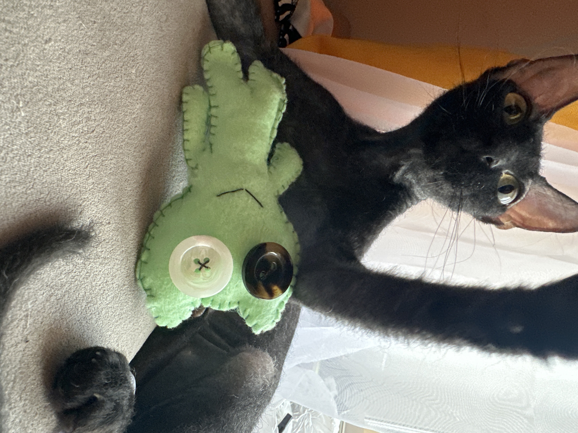 A black cat with large ears is lying on a light gray surface next to a handmade, light green felt doll with two different-colored buttons sewn onto it. The cat's tail is visible to the left of the doll. A white and yellow patterned fabric is partially visible in the background. The scene appears to be indoors, likely on a piece of furniture. The location is not discernible as Chaikovsky, Russia.