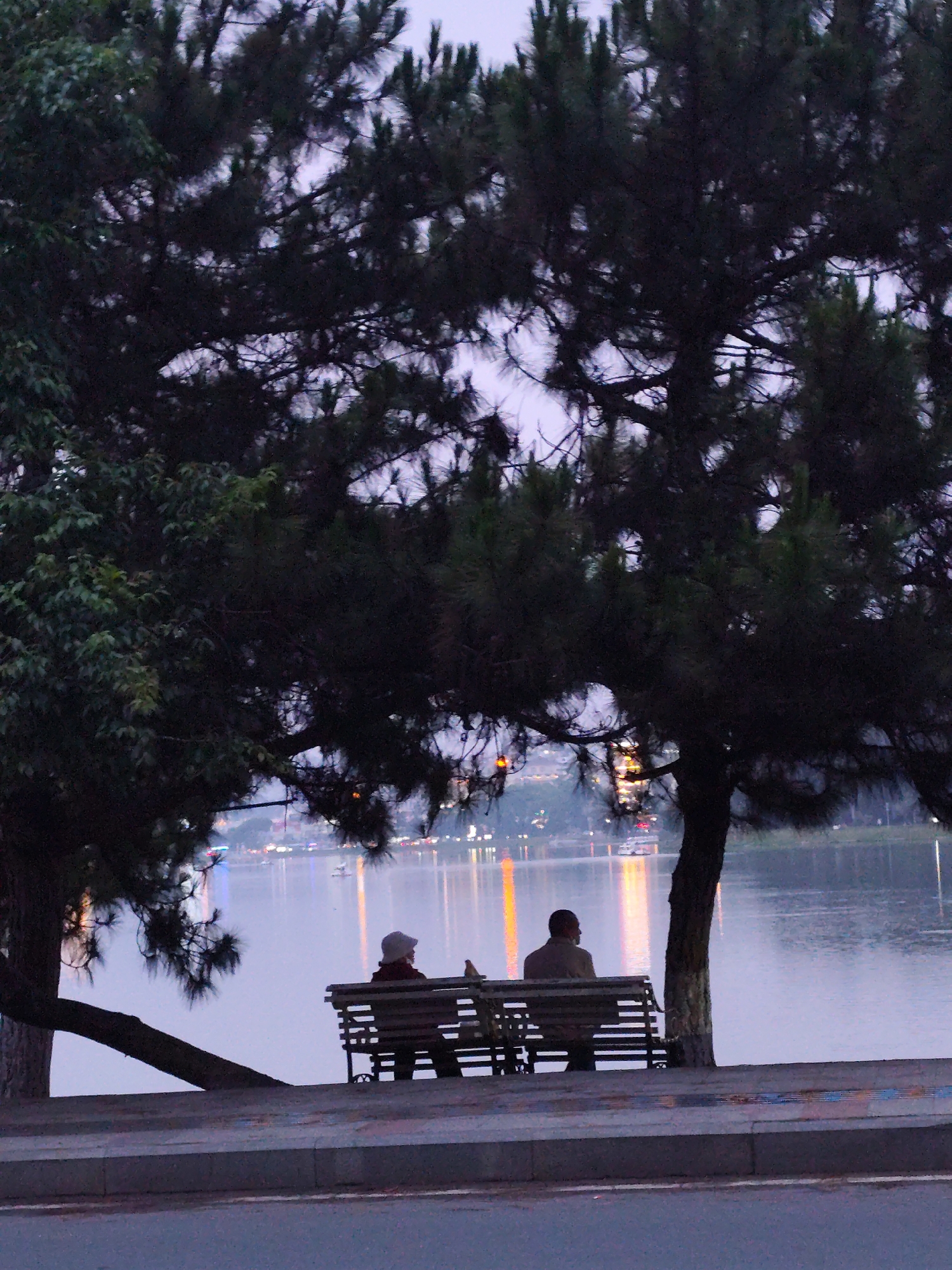 Two people are sitting on a wooden bench facing a body of water. A tree is on either side of the bench. The water reflects the lights of buildings across the water. The scene appears to be in Da Lat, Vietnam.