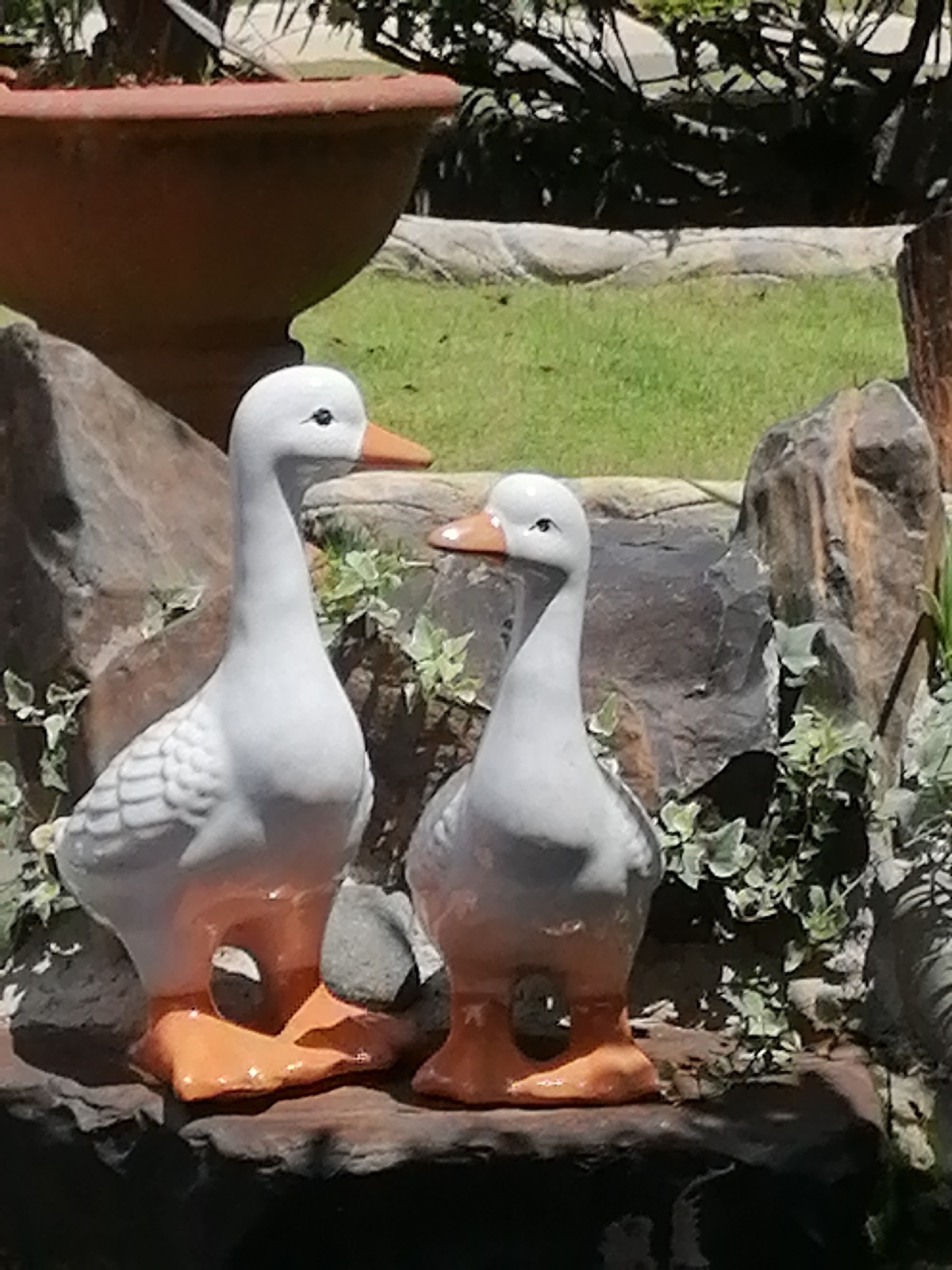 This is a close-up, eye-level photograph of two white, ceramic duck sculptures with orange feet. The duck on the left is taller and positioned in the foreground, facing to the right. It has a curved neck, a small black eye, and a pointed orange beak. Its body features textured detailing resembling feathers. The duck on the right is slightly shorter and positioned behind and to the right of the first duck, facing to the left. It shares similar features with the first duck, including a black eye and an orange beak.
The sculptures are placed on a dark, rocky surface, which appears to be part of a decorative garden feature. Behind the ducks, large, irregularly shaped rocks are visible. Lush green grass forms the background, and further back, the foliage of trees and shrubs can be seen. A large, reddish-brown terracotta pot is partially visible in the upper left corner of the image, suggesting this might be a garden or park setting. The lighting suggests it is daytime, with shadows cast by the sculptures and surrounding elements. The overall scene appears to be a tranquil garden display. The location is identified as Lâm Viên - Đà Lạt, Vietnam, implying a public park or garden setting within this city.