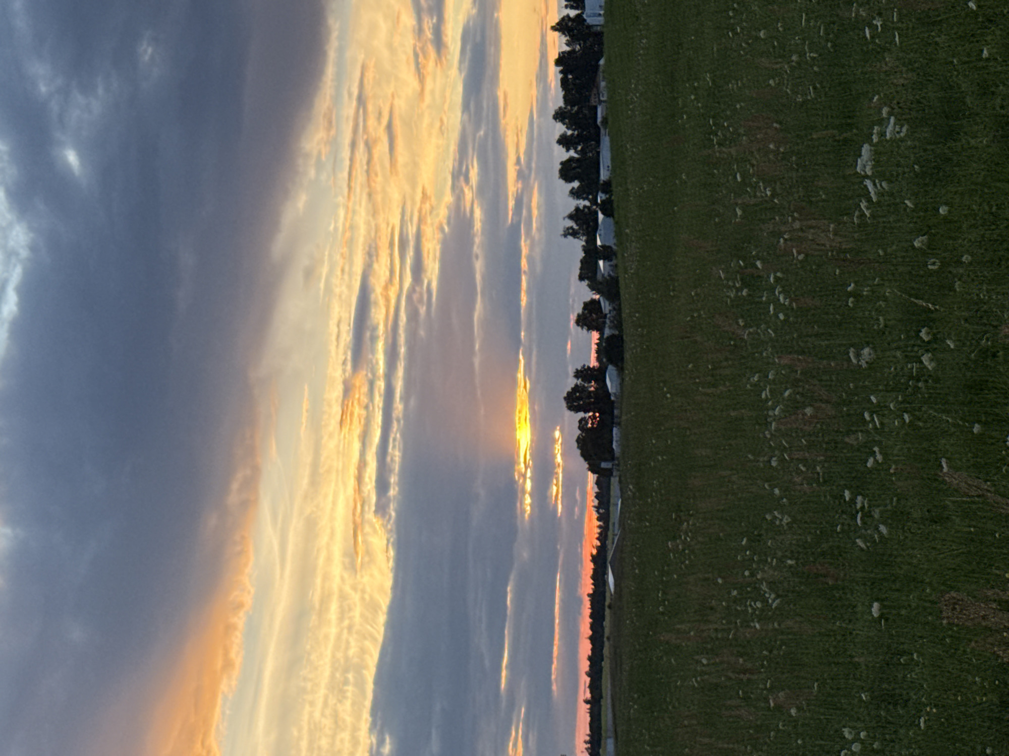This is a landscape photograph taken in Galinė, Lithuania, at sunset. The foreground is a field of green grass dotted with small white flowers. In the middle ground, there is a line of trees and several farm buildings, including white structures with peaked roofs and some more modern white rectangular buildings. The background is dominated by a dramatic sky filled with clouds. The sun is setting, casting warm hues of orange and yellow through breaks in the gray and dark blue clouds. Sunbeams are visible radiating from behind a horizontal cloud band. The overall impression is one of a rural setting at dusk.