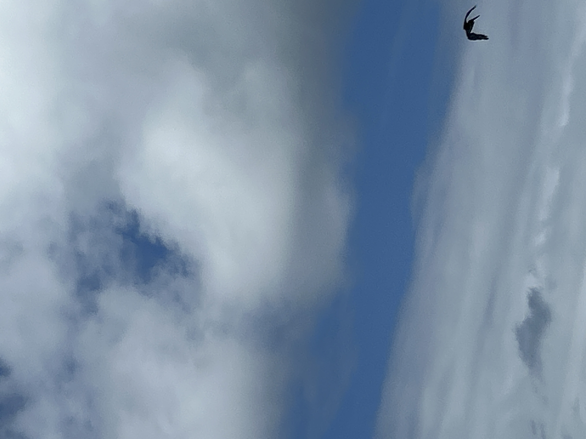 The image depicts a cloudy sky with a visible patch of blue sky. A dark object, possibly a bird, is seen in the upper right corner of the frame. The image shows a daytime scene with no evidence that is in the city of Le Gosier, France.