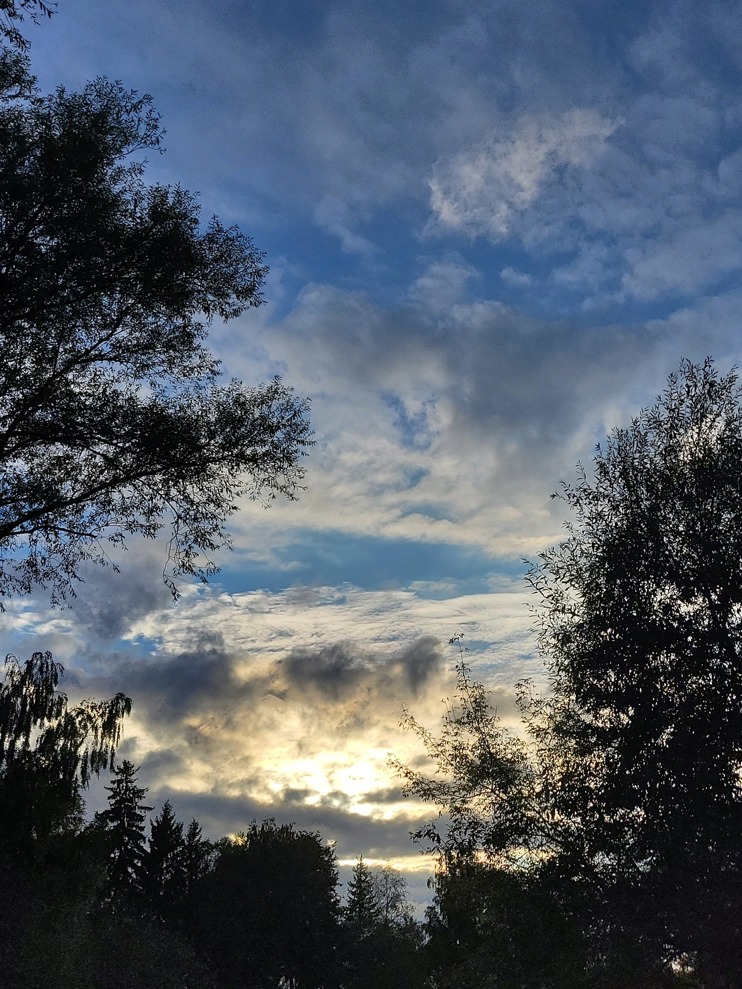 The image depicts a silhouetted view of trees against a dramatic sky filled with clouds. The sky transitions from a deep blue at the top to lighter shades, with patches of sunlight breaking through the clouds, casting a warm glow in the lower part of the frame. The trees are dark and appear to be in the foreground, framing the sky. The overall scene suggests either dawn or dusk. The location is specified as Kalnciems, Latvia. There are no people or explicit actions visible. The environment is natural, characterized by the trees and the sky.
