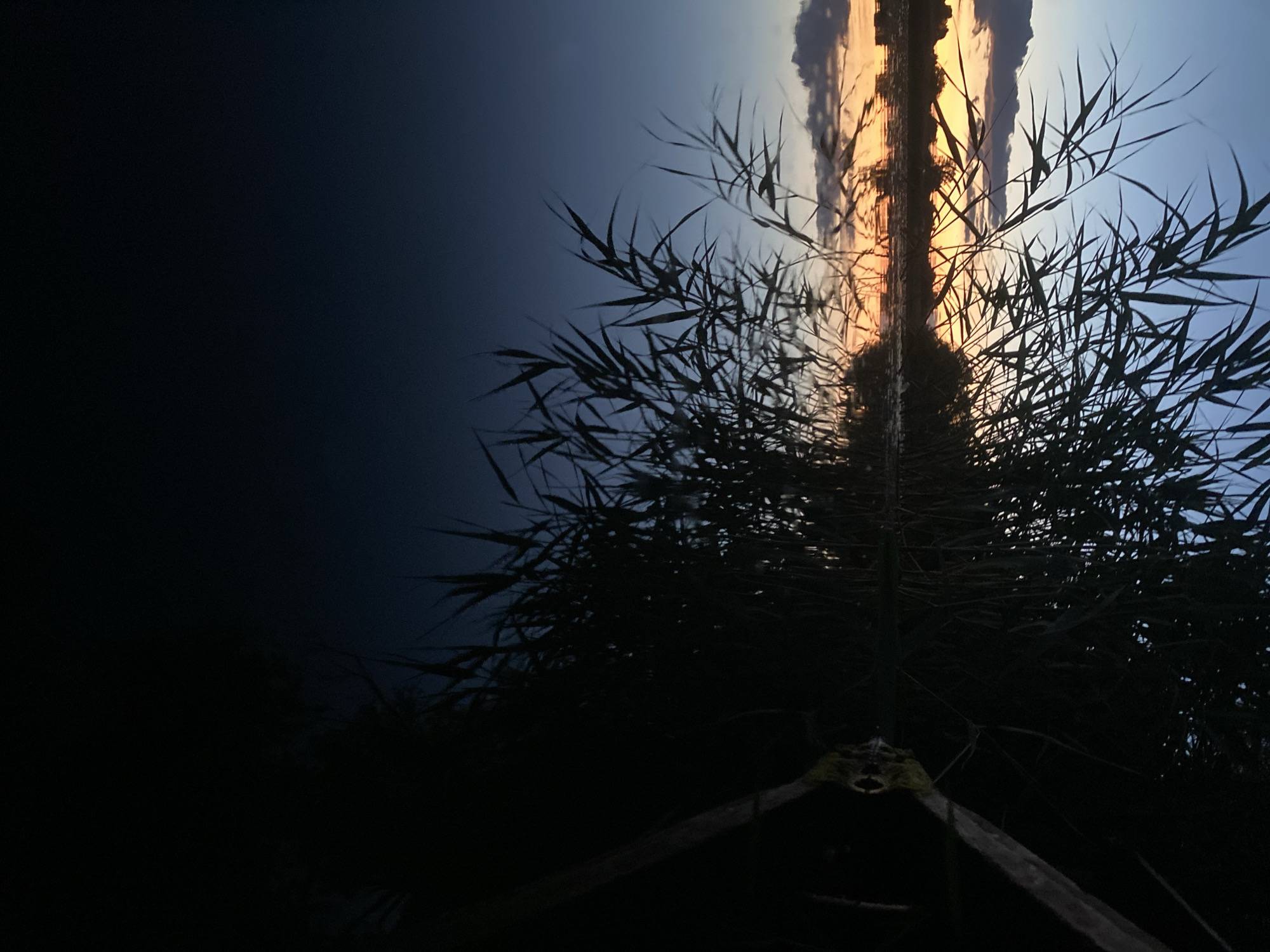 A body of water reflects tall, slender reeds against a darkening sky. The reeds are silhouetted against the horizon, where the last vestiges of sunset cast a warm orange and yellow glow, interspersed with grey clouds. The reflection of the reeds stretches down into the dark water, creating a mirror image. To the right of the frame, a dark, rough-textured object, possibly a log or branch, juts out over the water. The overall scene evokes a sense of twilight and tranquility. The location is the city of Ustyvytsia, Ukraine.