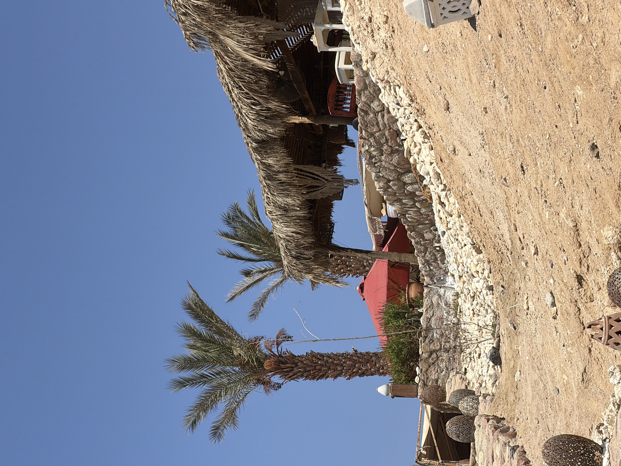 This image captures a sunny outdoor scene, likely at a resort or restaurant in Sharm El Sheikh, Egypt, given the arid landscape and tropical vegetation. The foreground is dominated by a sandy slope dotted with pebbles and some decorative, perforated metallic objects, possibly lanterns or planters. Further up the slope, a stone retaining wall supports a slightly elevated area with more landscaping.
Behind the wall, two tall palm trees stand against a clear blue sky. One palm tree is to the left, its trunk thick and textured, with fronds reaching upwards. To its right, a second, slightly thinner palm tree with drier, more thatched-looking fronds leans slightly. Between and in front of the palm trees, a red umbrella is visible, suggesting an outdoor seating area.
The middle ground features a rustic structure with a thatched roof, supported by wooden beams. This appears to be an open-air canopy or seating area. Beneath the thatched roof, some furniture is discernible, including a dark red wooden chair and white tables. The structure is built on a stone foundation.
To the far left of the image, a white lamp post with a rounded top is visible, adding to the architectural elements of the scene. The overall environment is dry and sun-drenched, typical of a desert climate with a coastal influence. The image is static, with no visible people or ongoing actions.