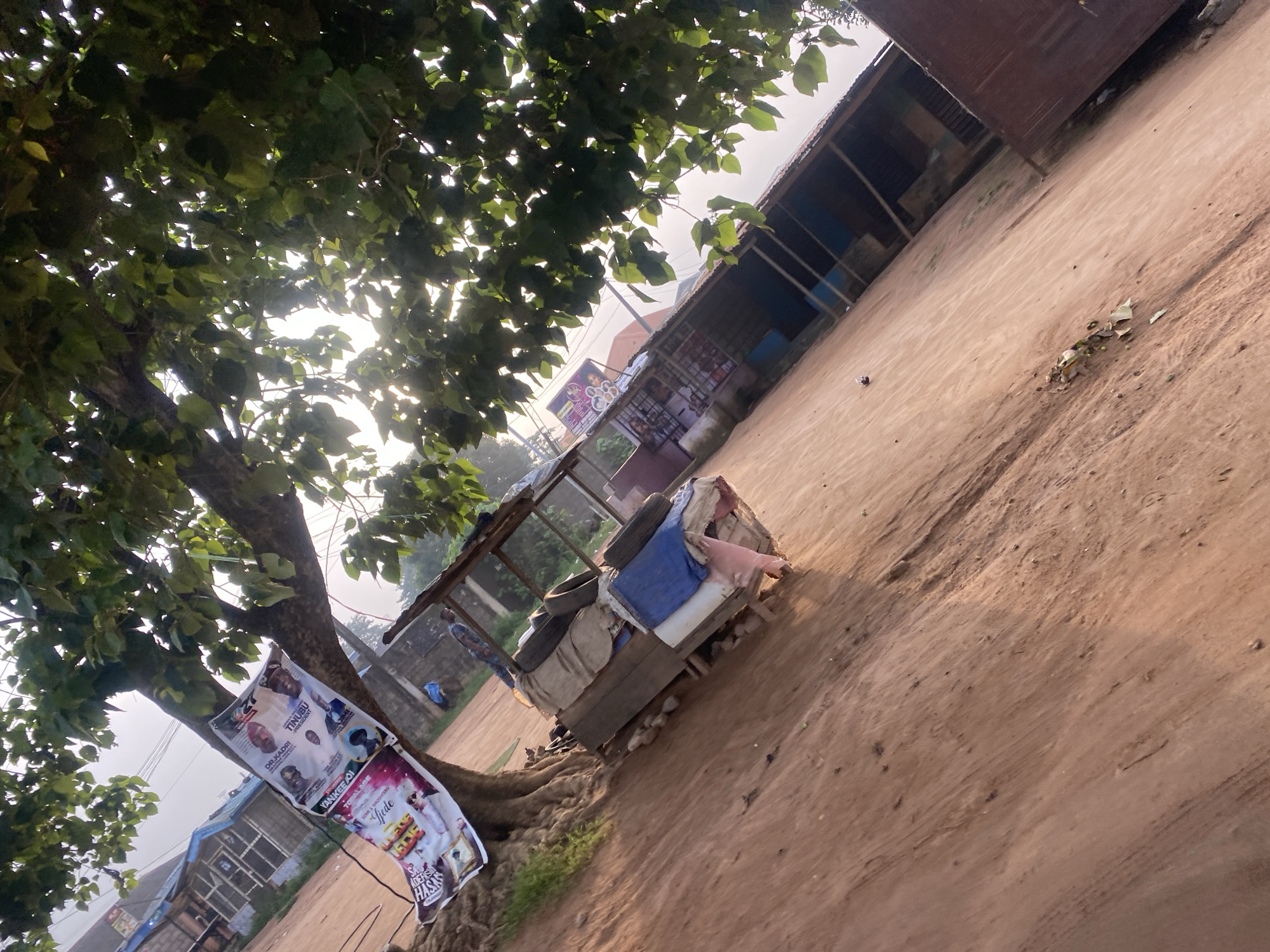 The image depicts a street scene in Ikorodu, Nigeria, characterized by a dusty, reddish-brown dirt road. A large tree with lush green foliage dominates the left side of the frame, with a banner advertising what appears to be a political event or campaign hanging from its trunk. The banner features portraits of individuals and text that is partially obscured but includes names like "DR. KADRI" and "TINUBU PRESIDENT."
Beneath the tree, a makeshift stall or cart constructed from wood and covered with various materials, including tarps and sacks, is visible. This structure appears to be used for selling goods or as a shelter. Scattered around the cart are tires and other discarded items.
In the background, to the right of the tree, a row of low-rise buildings with corrugated metal roofs lines the street. These buildings seem to house shops or market stalls, with some displaying signage. The overall atmosphere suggests a typical roadside market or commercial area within a Nigerian city. The lighting indicates it is daytime, possibly morning or late afternoon, with sunlight filtering through the leaves of the tree. A few individuals are faintly visible in the background, suggesting ongoing activity in the area.