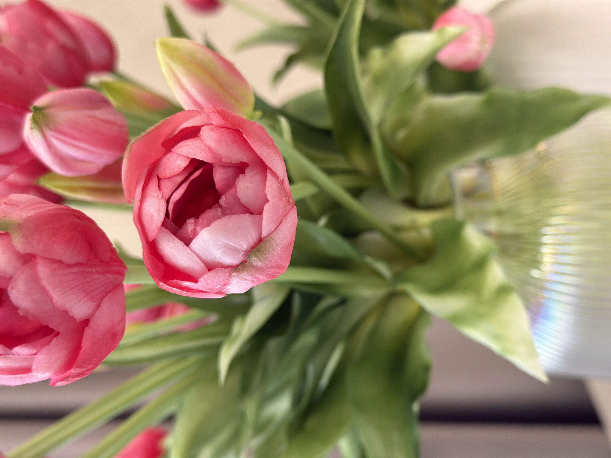 This is a close-up, eye-level, indoor shot of a bouquet of pink tulips in a vase. The tulips are in various stages of bloom, with some fully open and others still budding. The petals are a vibrant pink, with some lighter pink and white tones. The green leaves and stems are lush and healthy. The vase is made of glass with vertical ridges, and it reflects light in rainbow colors at the bottom. The background is out of focus, showing a soft, light brown wall and a hint of vertical blinds. The lighting is bright and natural, highlighting the textures and colors of the flowers. There are no people or animals visible in the image. The setting appears to be a home or a studio, likely in a domestic environment.