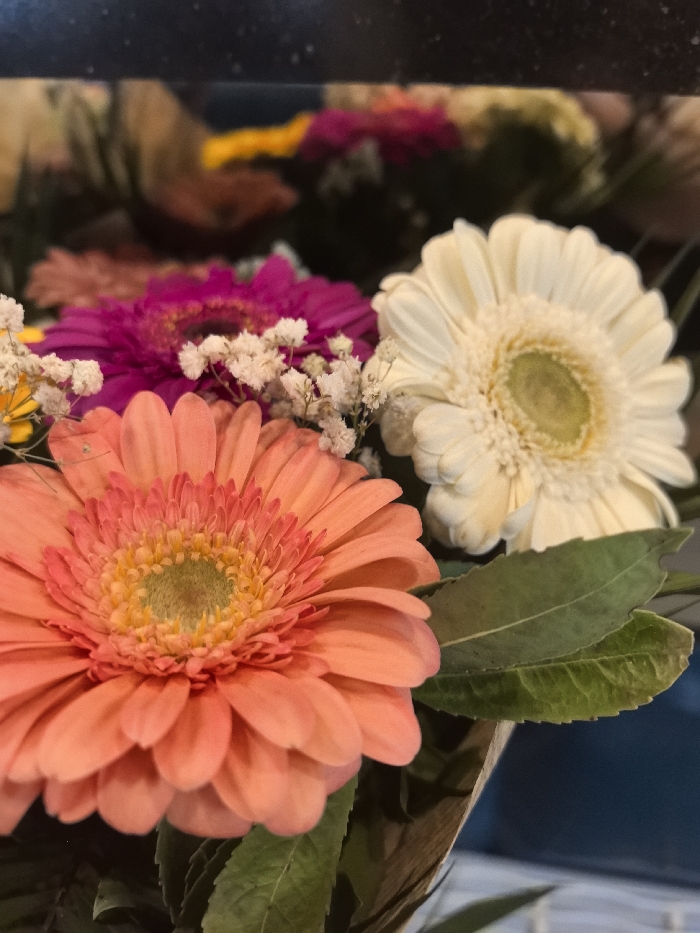The image depicts a close-up view of a bouquet of flowers. The bouquet includes flowers of different colors such as pink, orange, and white. The flowers appear to be Gerberas. Also present are some small white flowers of an indistinguishable variety. There are green leaves visible among the flowers. The image appears to be taken indoors. The location is unknown, and there is nothing to suggest that this image was taken in Sofia, Bulgaria.