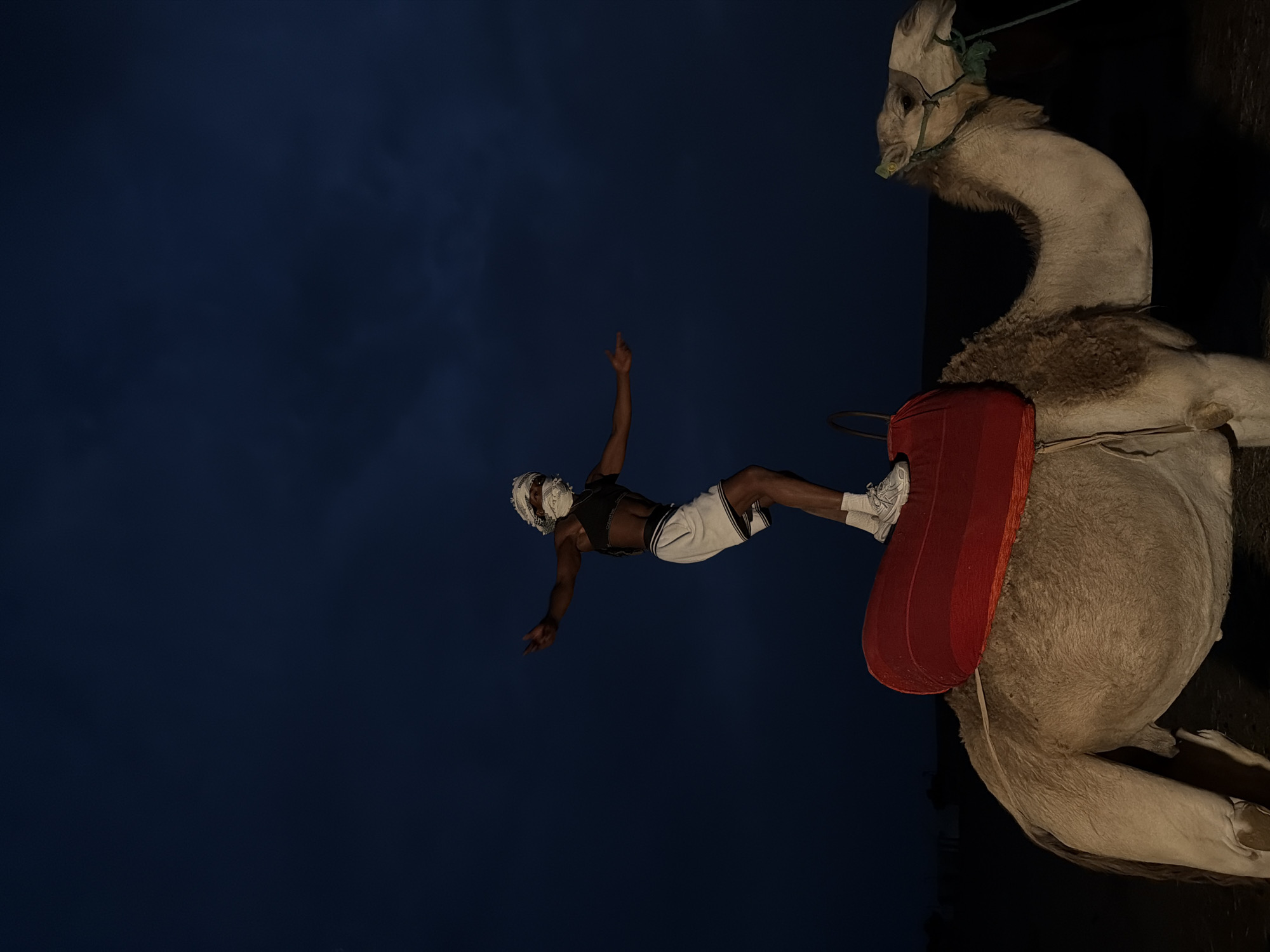 A person wearing a white head covering and face mask stands with arms outstretched on the back of a camel. The person is dressed in a black sports bra and white shorts. The camel is equipped with a red saddle. The scene is set at dusk in a dark, open area, possibly the desert, with a dark blue sky above. In the background, there are faint outlines of structures, suggesting a settlement. The overall impression is of a performance or acrobatic display.