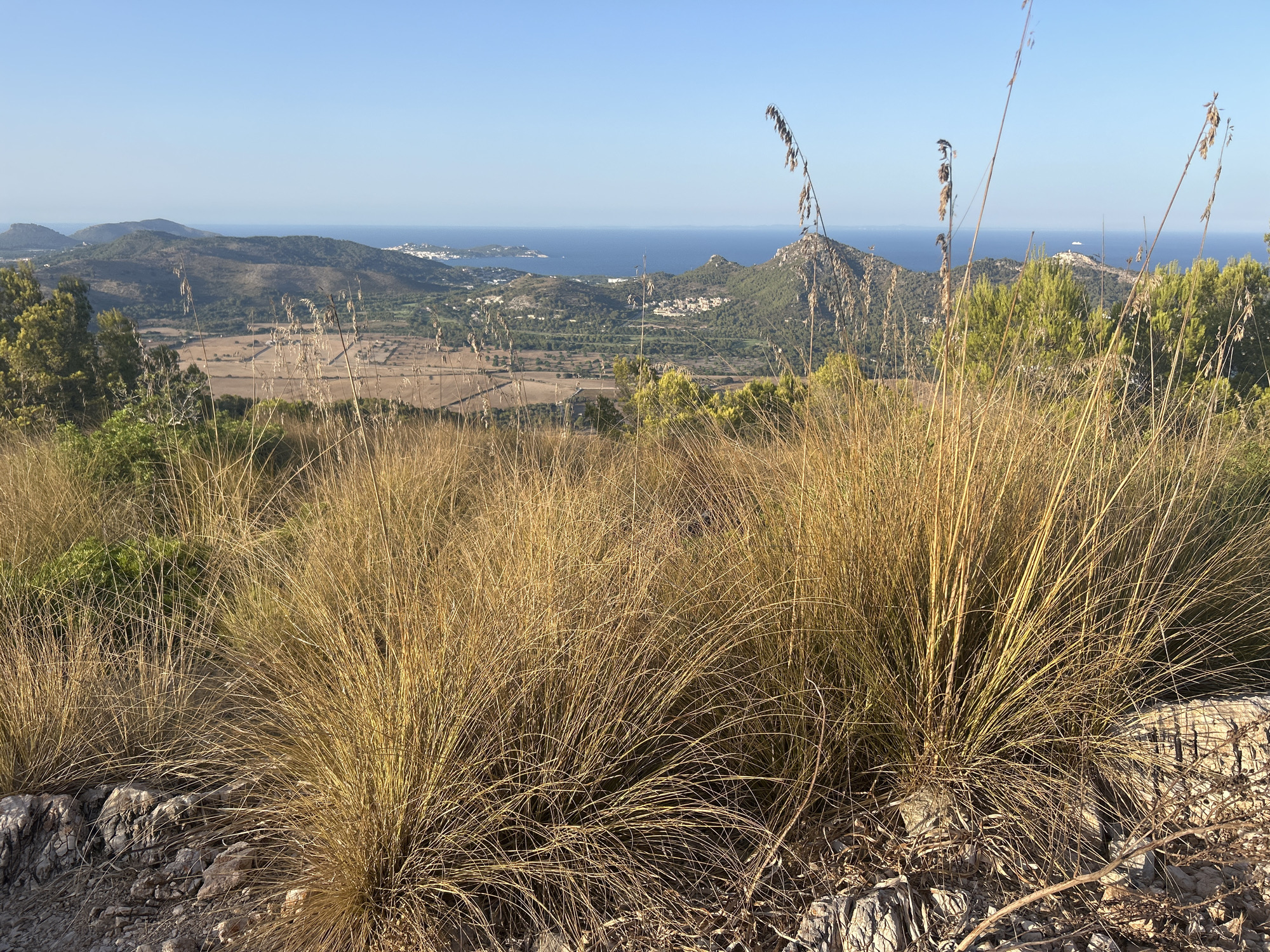 The image captures a scenic overlook of Cala Mesquida, Spain. In the foreground, dry, golden grasses and rocky terrain dominate the lower portion of the frame. Beyond this, rolling hills covered in green vegetation and scattered settlements extend towards the azure sea. The sky is clear and blue, suggesting a bright, sunny day. The overall impression is one of a peaceful, natural landscape with human presence indicated by the distant buildings.
