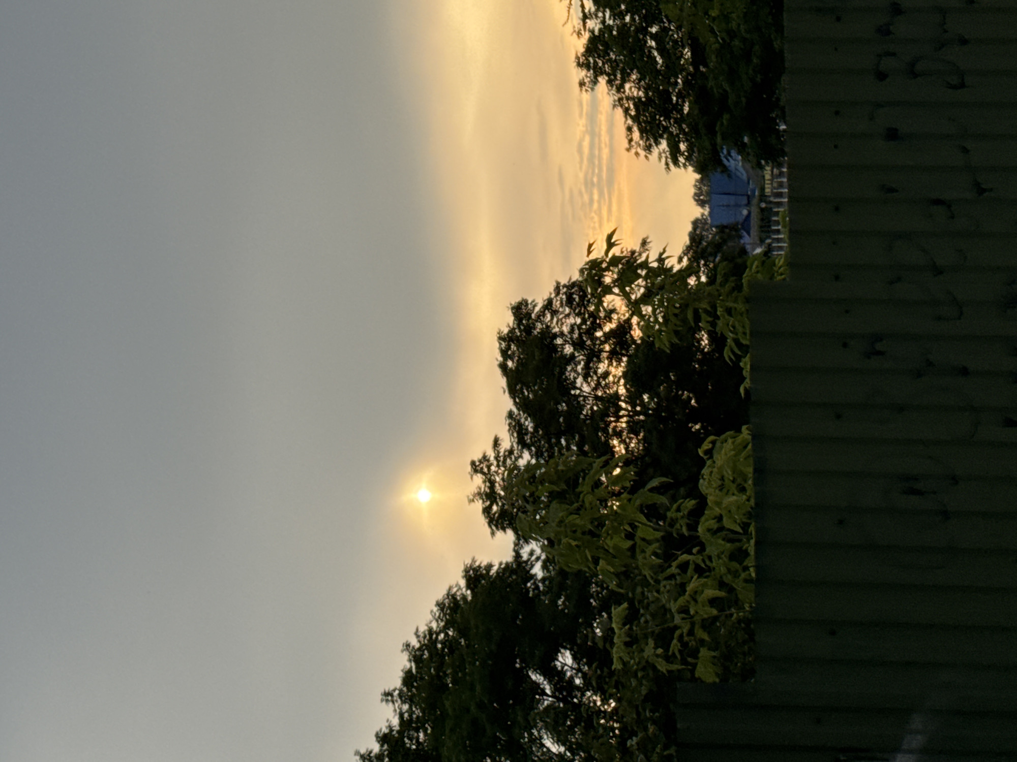 The image shows a view over a dark green wooden fence towards trees and a hazy sky with the sun visible as a bright, diffused point of light. In the distance, beyond the trees, rooftops of houses are visible. The scene appears to be an outdoor setting, likely in a residential area, possibly Chernivtsi, Ukraine, given the architectural style and vegetation. There are no people or animals depicted in the image. The lighting suggests it is either early morning or late evening.