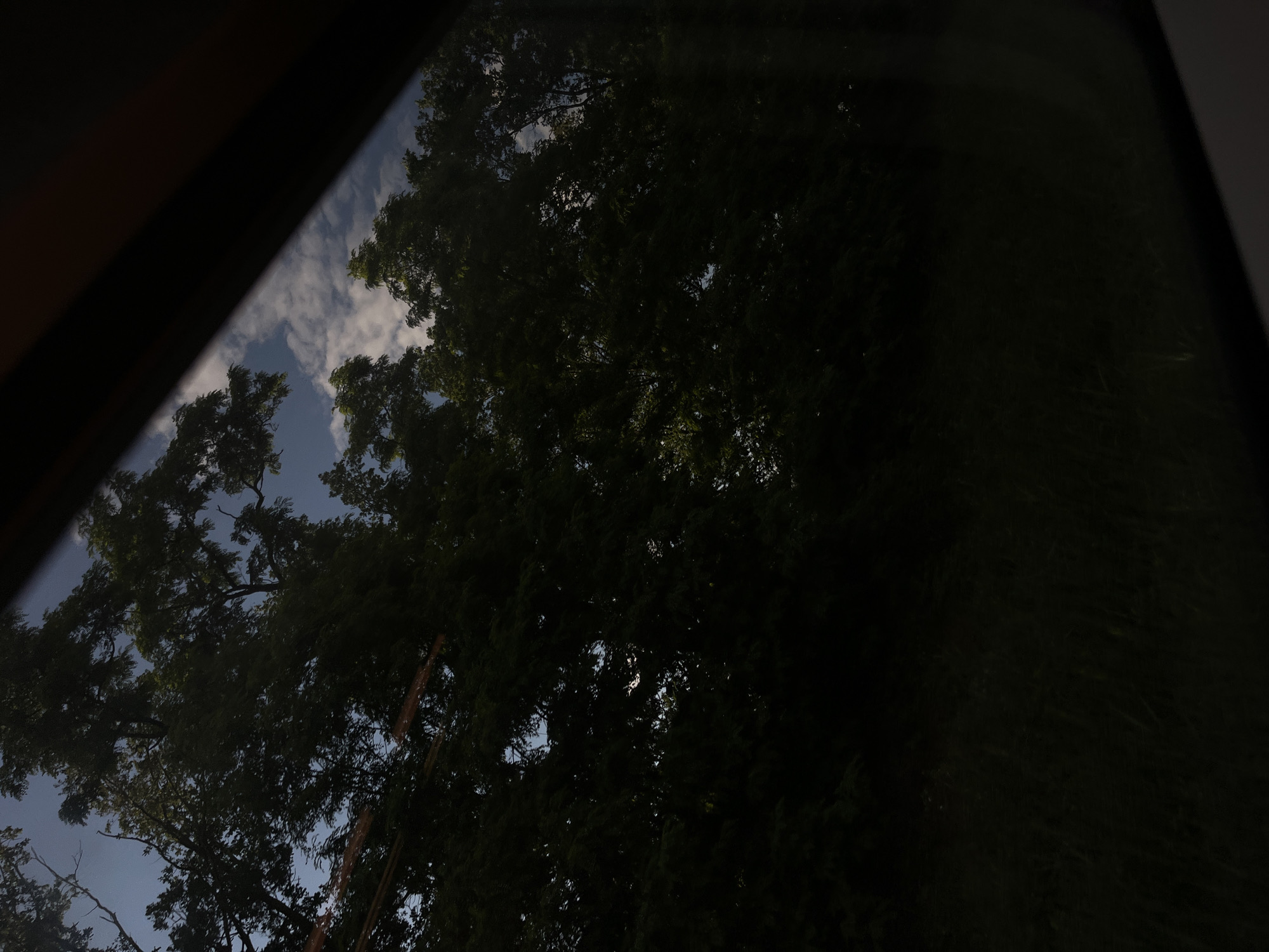 The image, captured through a window frame which is partially visible at the top and bottom edges, looks out onto a dense line of trees. The trees are mostly dark green, obscuring much of the view behind them. Through gaps in the foliage, patches of blue sky and scattered white clouds are visible. A thin, horizontal orange streak is present across the upper left portion of the image, possibly a reflection or lens flare. The overall lighting suggests it is daytime, possibly late afternoon or early morning, given the shadows and the interplay of light and dark. The lower part of the image shows a dark, out-of-focus area which could be ground cover or the interior of the vehicle from which the photograph was taken. The scene appears to be a natural landscape bordering an urban or suburban area, and is not specifically identifiable as being in the city of Wittenberg, Germany, based on visual cues alone.