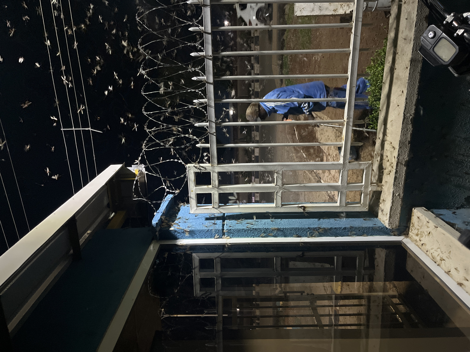 At night in Jos, Nigeria, numerous insects swarm in the air near a building. The building has a window and a metal gate topped with barbed wire. A person wearing a blue jacket is visible through the gate. A motorcycle mirror is mounted on the side of the building. The surface of the building has a blue painted edge.