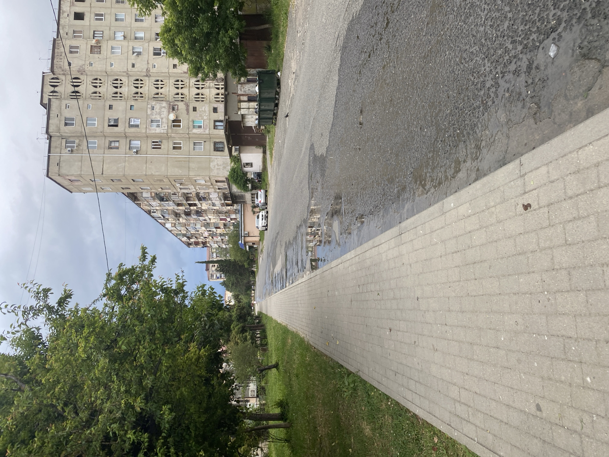 The image shows a street scene in an urban environment. On the left, a paved sidewalk runs alongside a grassy area with trees. The sidewalk is made of light-colored rectangular pavers. On the right side of the street, there is an asphalt road with several large puddles of water reflecting the cloudy sky and surrounding buildings. Several green garbage bins are lined up along the side of the road. In the background, there is a tall, multi-story concrete apartment building with many windows, and other buildings of similar style stretch down the street. A few cars are parked on the side of the road. Pigeons are visible on the road and near the garbage bins. The sky is overcast.