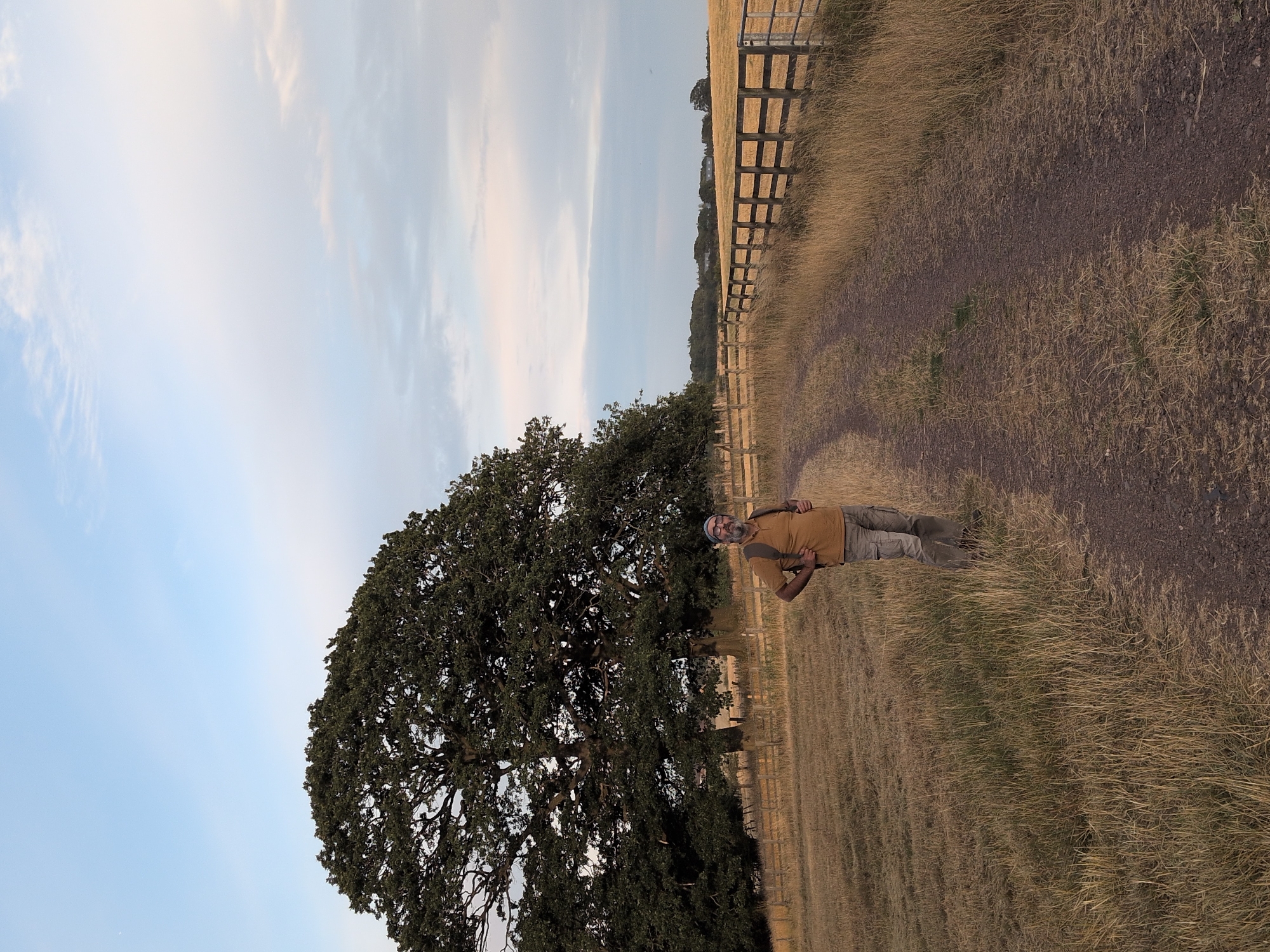 A man wearing a tan t-shirt, beige cargo pants, and a backpack stands on a dirt path in a grassy field. The man is facing the camera with his hands on his hips and a slight smile. Behind the man is a large oak tree. To the right of the man and the tree, a wooden fence runs along the edge of the field. The sky is partly cloudy and light pink and blue. The image appears to be taken in Little Wenlock, United Kingdom, at dusk.
