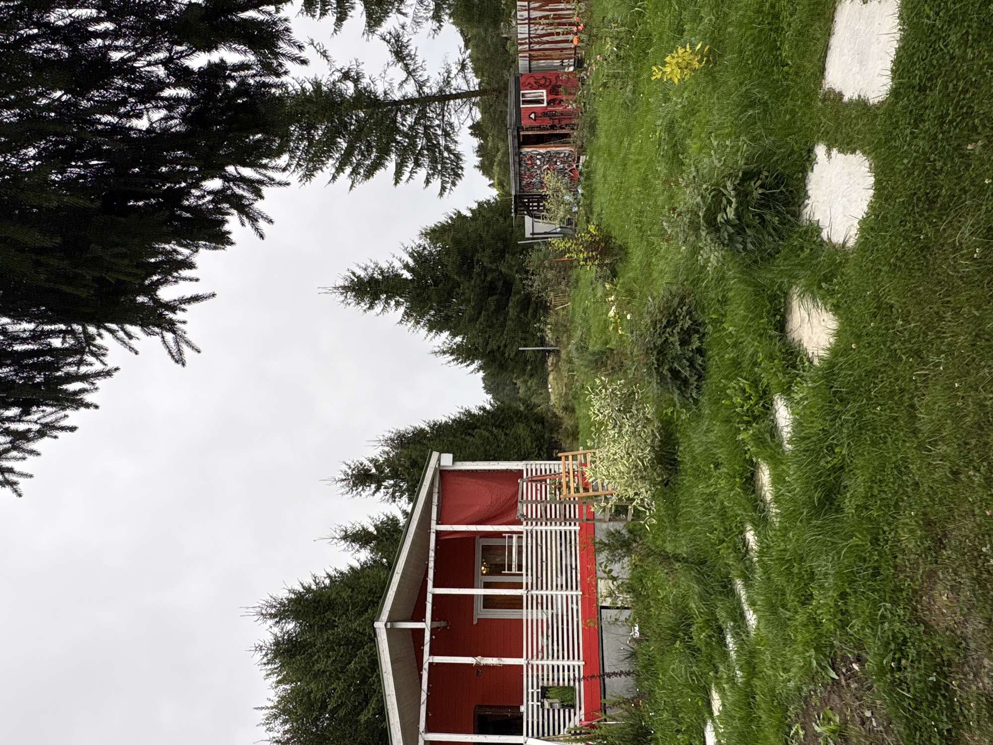 The image depicts a rural outdoor scene, likely in Lyady, Russia, characterized by a natural, slightly overgrown environment. In the foreground, large, irregularly shaped stepping stones are partially submerged in lush green grass. To the left, a vibrant red house with a white-trimmed porch and railing stands out. The porch has vertical supports and a white balustrade, with a red fabric draped on one side. A wooden ladder leans against the porch. In the background, a smaller red structure, possibly a shed or outbuilding, is visible, adorned with a colorful, mosaic-like pattern on its side. A rustic wooden fence runs alongside this structure. The scene is surrounded by numerous evergreen trees, creating a dense, natural backdrop. The sky is overcast and a pale gray. There are no people or animals visible in the image.