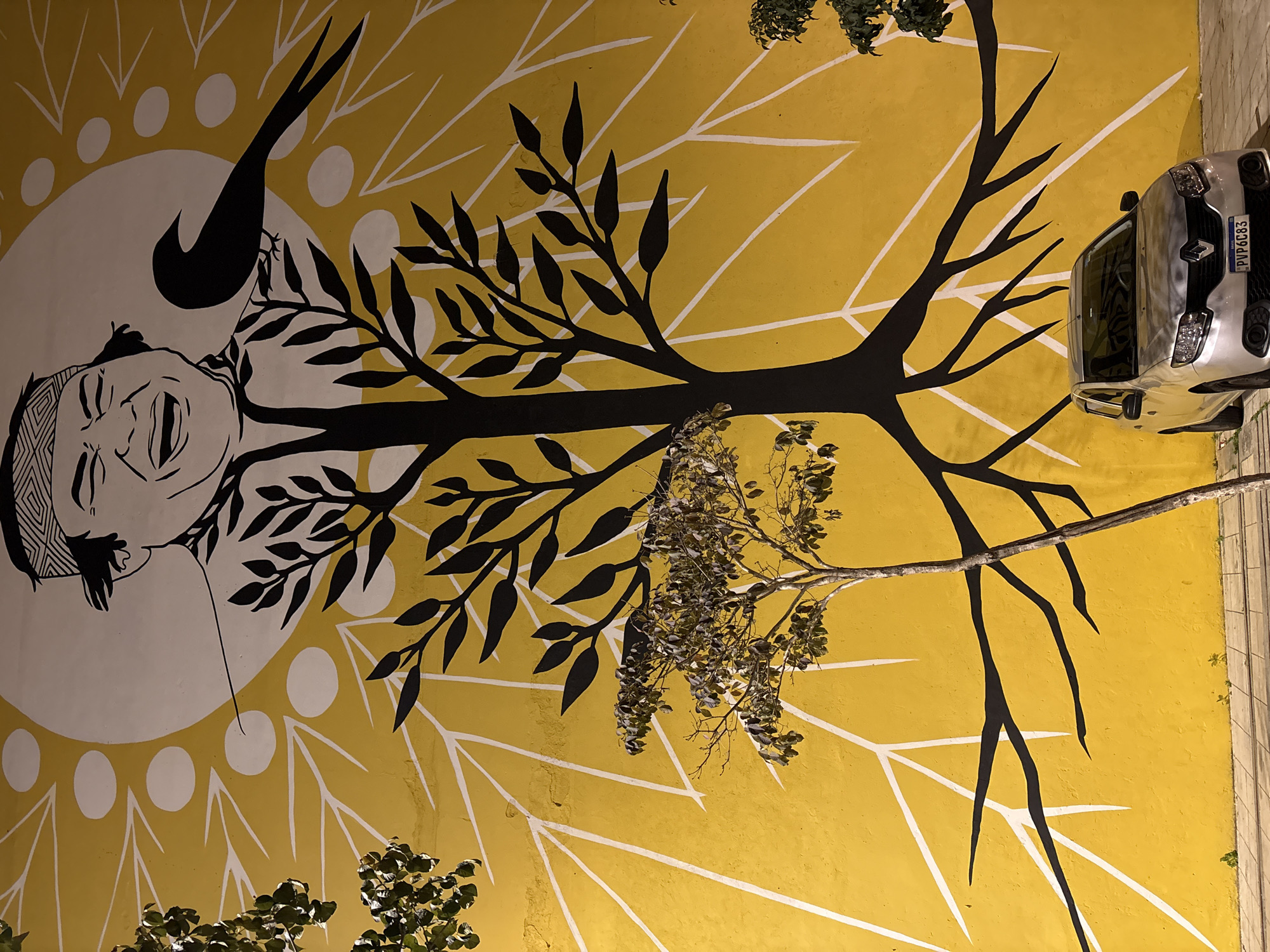 A vibrant mural adorns a yellow wall in São Paulo, Brazil. The mural depicts a stylized tree with black branches and roots spreading out against a bright yellow background. A large, circular, white element is prominent behind the tree, with several white circular and linear shapes radiating outwards. At the top of the mural, a black and white illustration of a person's face is visible, laughing with eyes closed and a wide-open mouth. A black silhouette of a bird is perched on a branch near the person's head. In the foreground, a silver Renault car is parked on a paved walkway in front of the mural. A thin, real tree with sparse leaves stands to the left of the car, partially obscuring the mural. Green foliage from trees is visible in the upper left and right corners of the image, suggesting an outdoor urban setting. The ground in front of the mural is a light-colored paved surface with some small weeds growing through cracks. The license plate of the car reads "PVP6C83". The image appears to have been taken at night, as evidenced by the artificial lighting illuminating the scene.