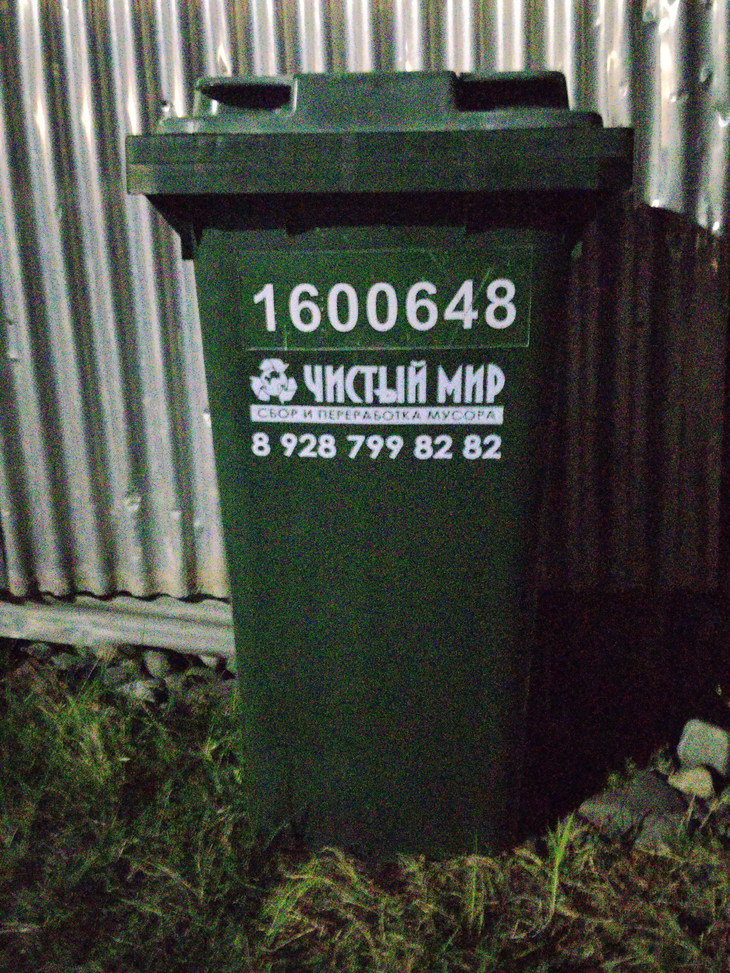In Plievo, Russia, a dark green garbage bin stands against a corrugated metal fence. White lettering on the bin reads "1600648", a recycling symbol, "ЧИСТЫЙ МИР" (meaning "Clean World"), "СБОР И ПЕРЕРАБОТКА МУСОРА" (meaning "Waste Collection and Recycling"), and the phone number "8 928 799 82 82". The bin is positioned on a patch of grass with some debris visible. The lighting suggests it is nighttime or a dimly lit area.