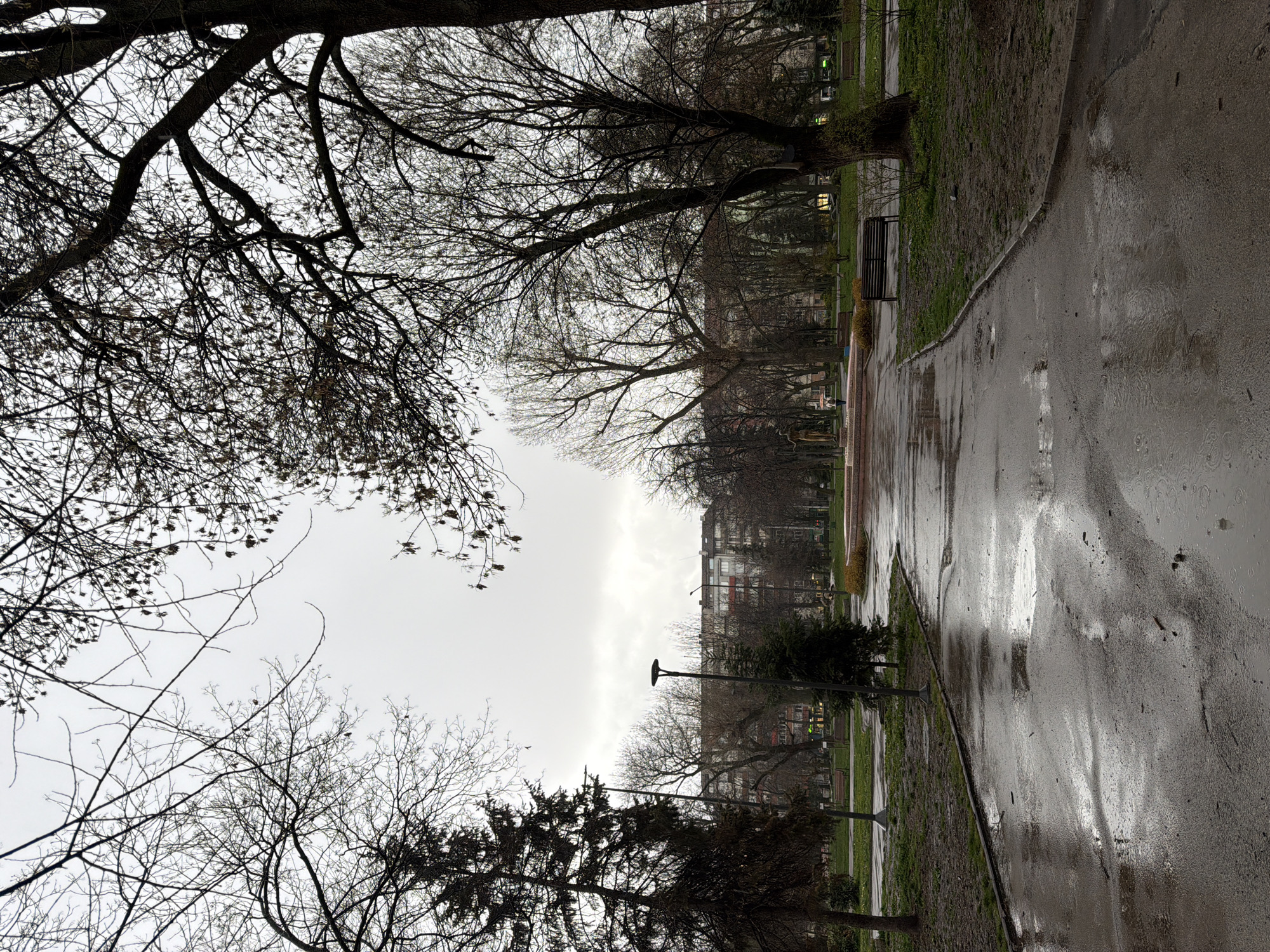 The image captures a scene in a park in Sofia, Bulgaria on a rainy day. The ground is wet and reflective. There are trees with bare branches visible on both sides of the path. Buildings are seen in the background. There is a small pine tree to the right of the path. A lamp post is next to the pine tree. There is a row of bare trees behind the pine tree and the lamppost. Some benches are seen in the background.
