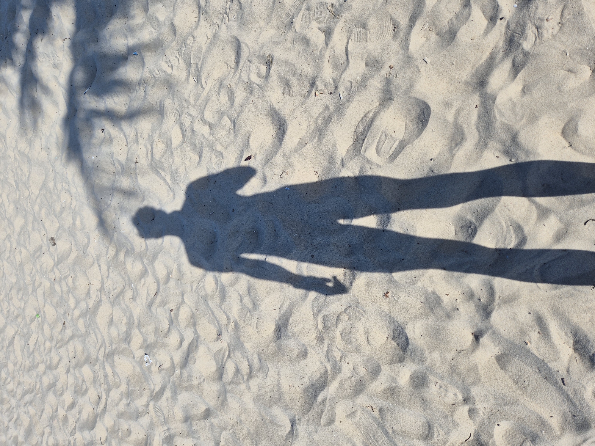The image depicts a shadow of a person standing on a sandy beach. The sand is light beige and shows ripples and indentations, suggesting it is undisturbed and possibly dry. Scattered across the sand are small debris, such as leaves, twigs, and possibly some small pieces of plastic. In the upper right quadrant of the image, the shadow of palm fronds is visible, indicating the presence of palm trees. The overall lighting suggests it is daytime with the sun positioned behind the viewer. The location is identified as a beach in Đà Nẵng, Vietnam, a popular coastal city known for its sandy shores. There are no other people or objects clearly visible in the image, only the shadow of the individual and the natural elements of the beach.