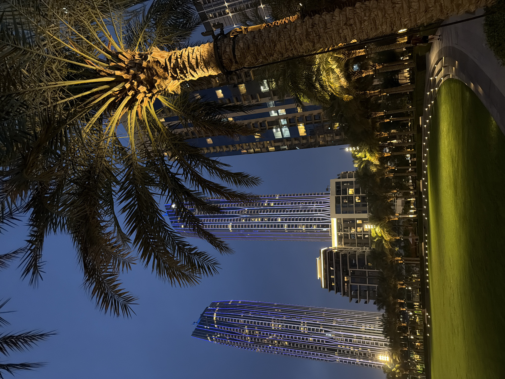 The image depicts a night scene in Dubai, United Arab Emirates. Tall, illuminated skyscrapers dominate the background, some with distinctive blue lighting patterns. Palm trees are prominent in the foreground, framing the cityscape. A green lawn is visible on the right, illuminated by a row of small lights. No people are clearly visible in the image.
