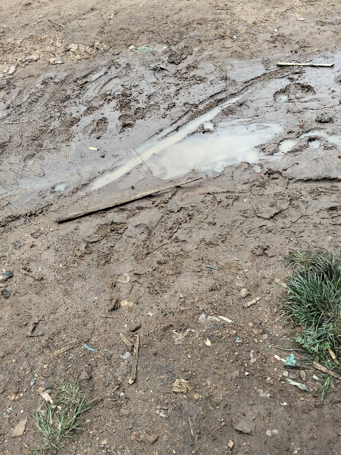 The scene depicts a section of wet, unpaved ground within Nyansiongo ward, Kenya. The predominant surface is mud, ranging in consistency from damp earth to saturated areas with standing water. A prominent, elongated puddle of light-colored water is situated in the mid-ground. Numerous footprints, varying in size, are impressed into the mud, indicating human passage. Distinct tire tracks are also visible, traversing the muddy terrain. Scattered across the surface are various debris items, including small fragments of wood, twigs, and light-colored synthetic materials, possibly plastics. A dark, slender, rod-like object lies horizontally across the mid-ground, partially submerged in the mud near the main puddle. Adjacent to this object, two thin, parallel linear impressions or objects are present within the wet mud. Sparse tufts of green grass grow at the lower left and lower right edges of the frame. No individuals are present in the image.